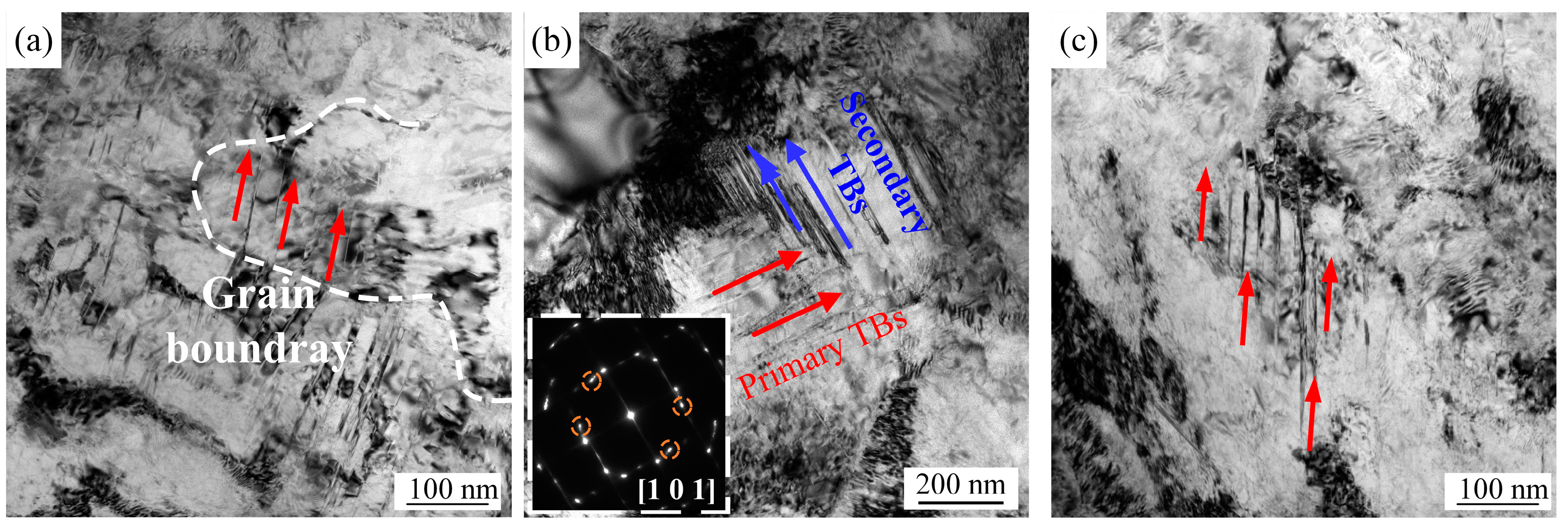Materials 17 01695 g008