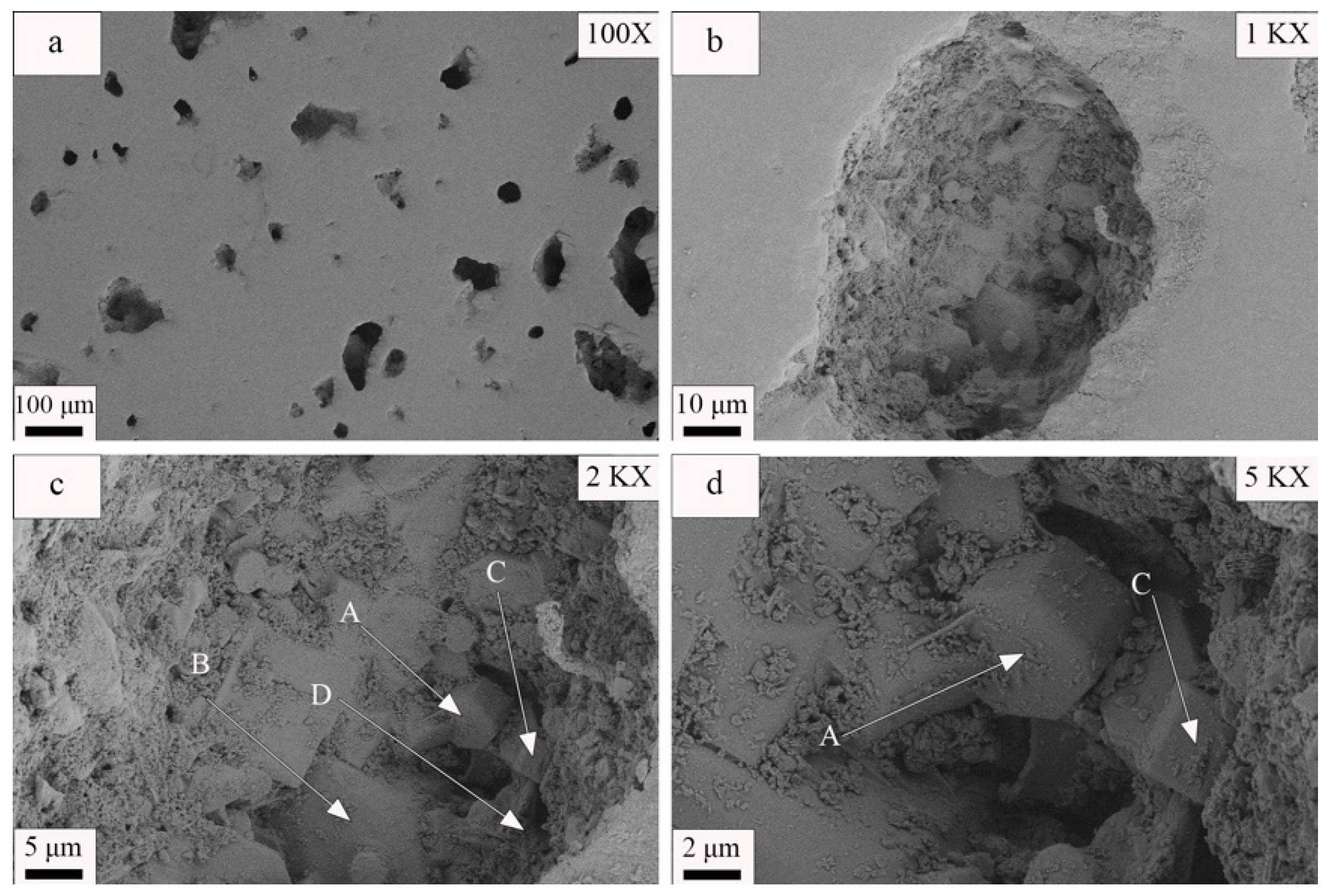 Materials 17 01755 g007