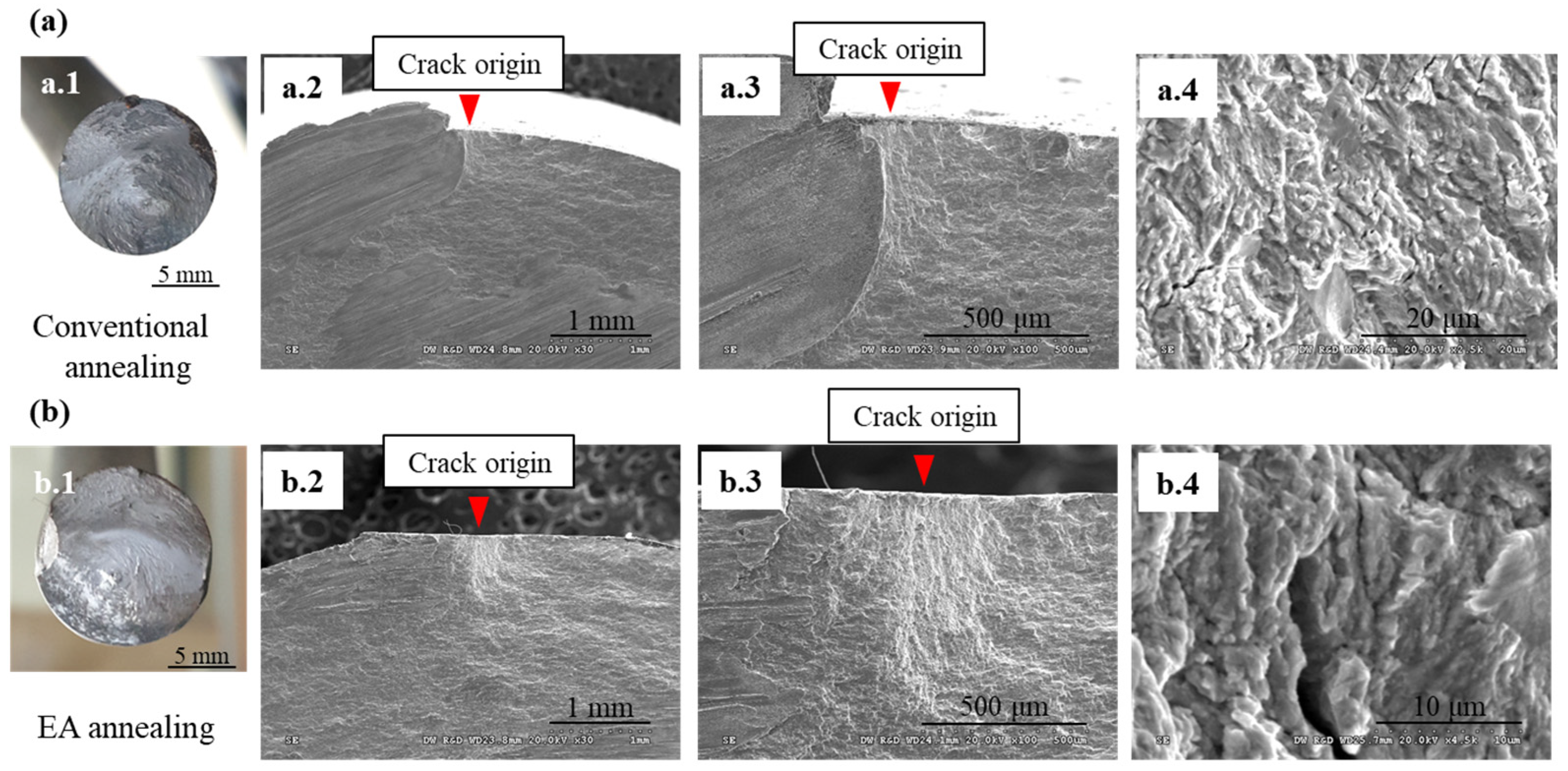Materials 17 01774 g011