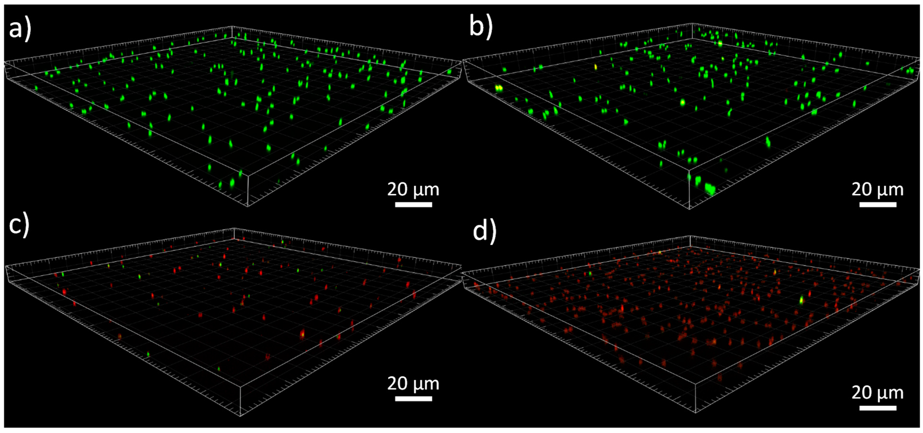Materials 17 01775 g006