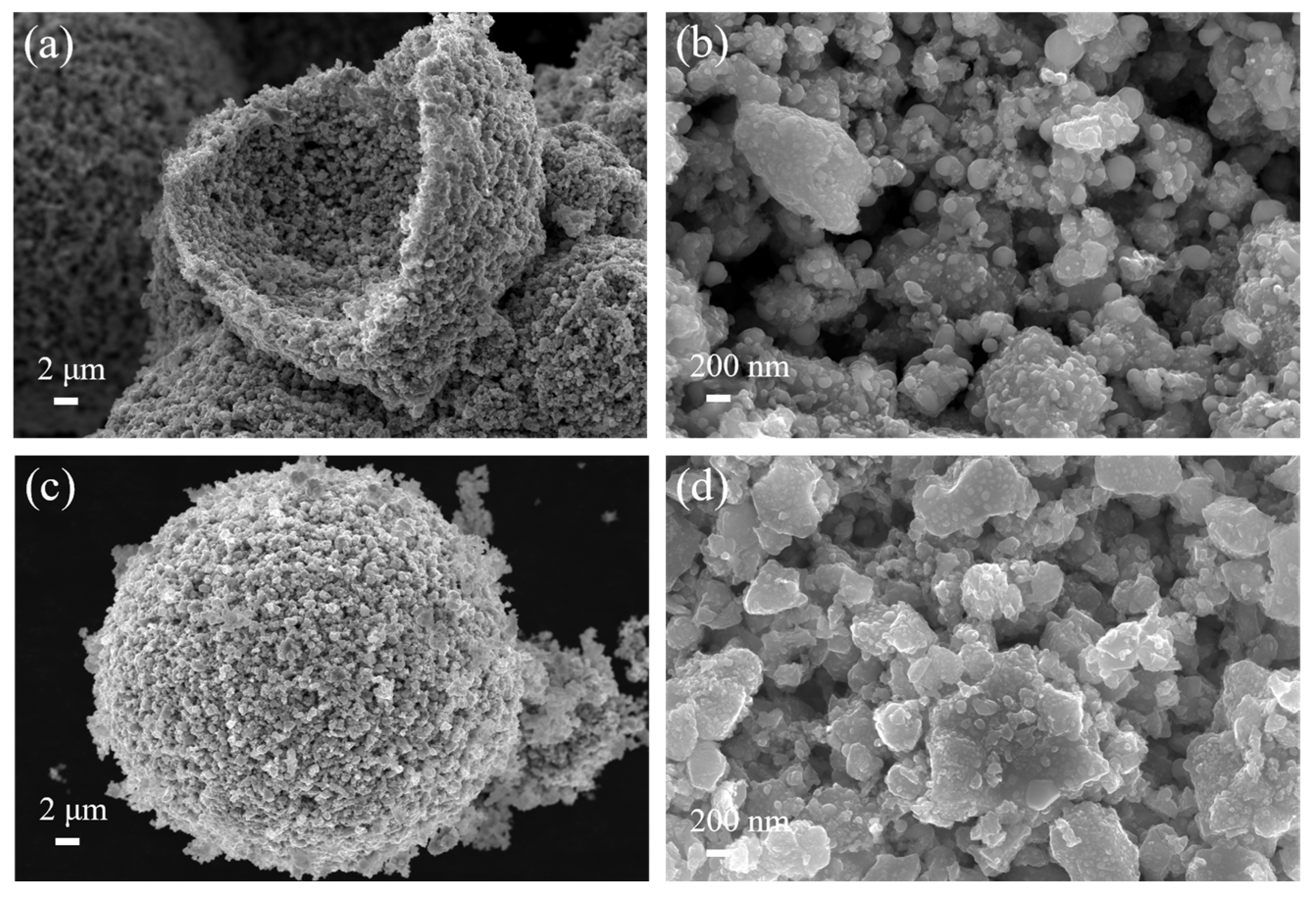 Materials 17 01807 g010