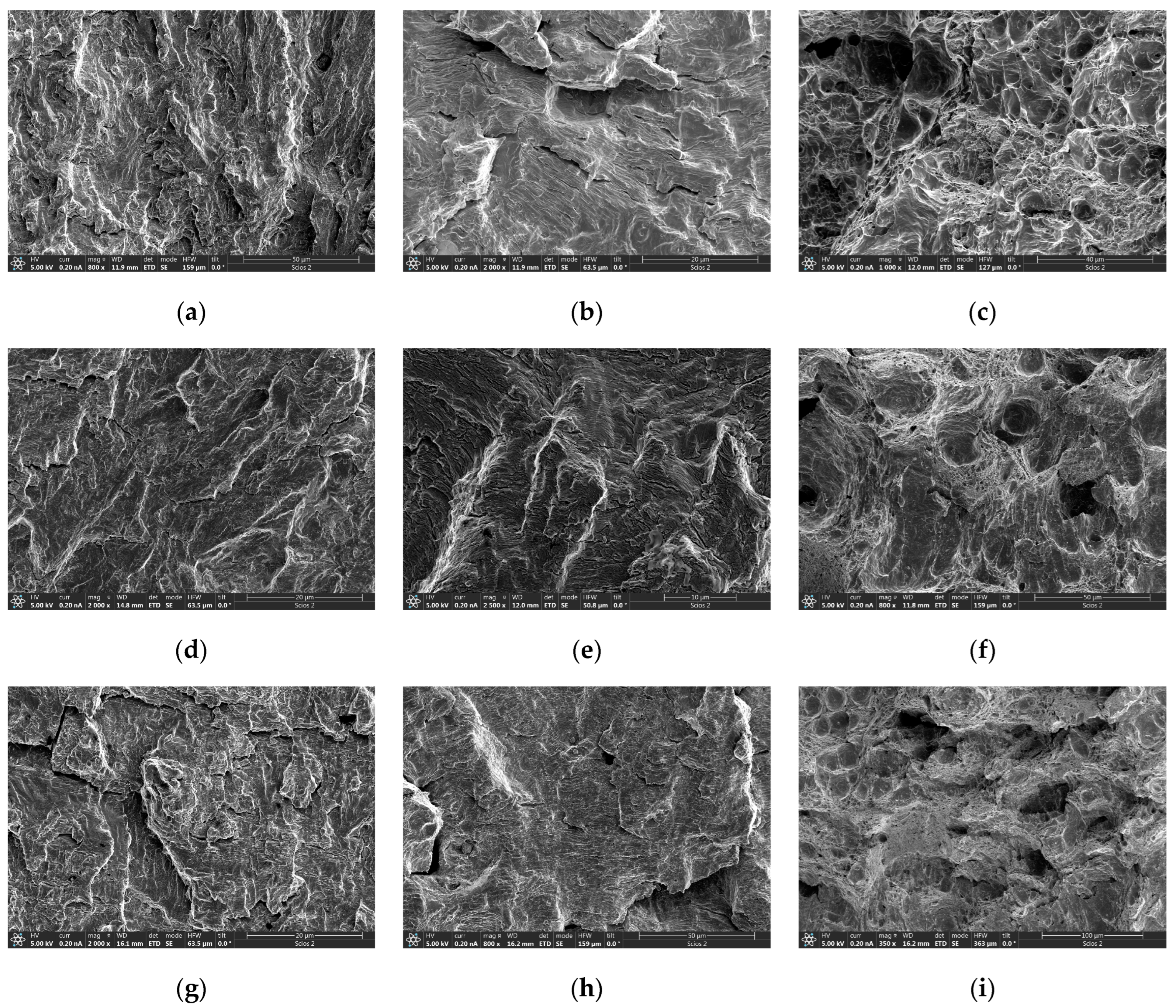 Materials 17 01808 g006