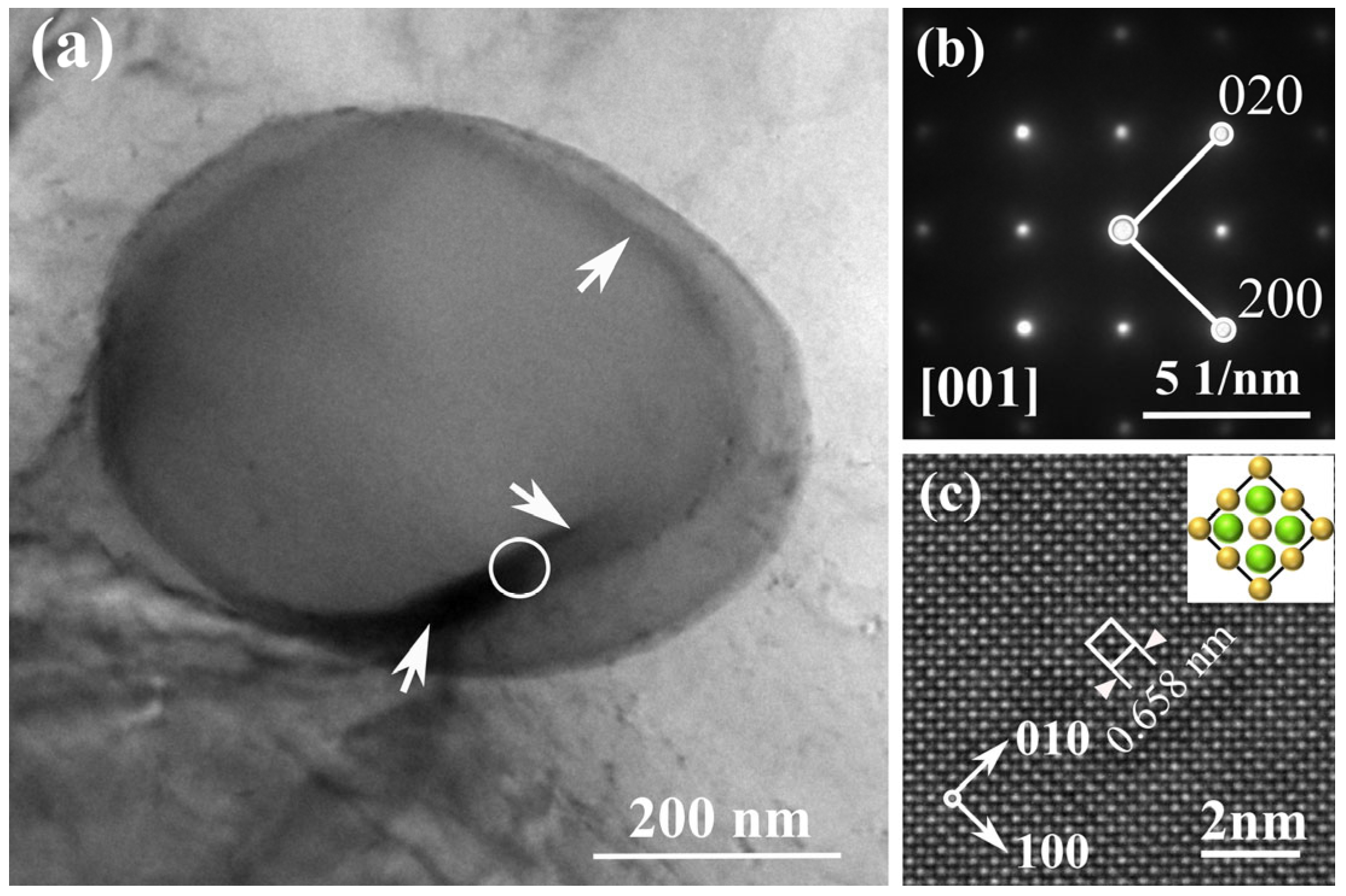 Materials 17 01811 g008