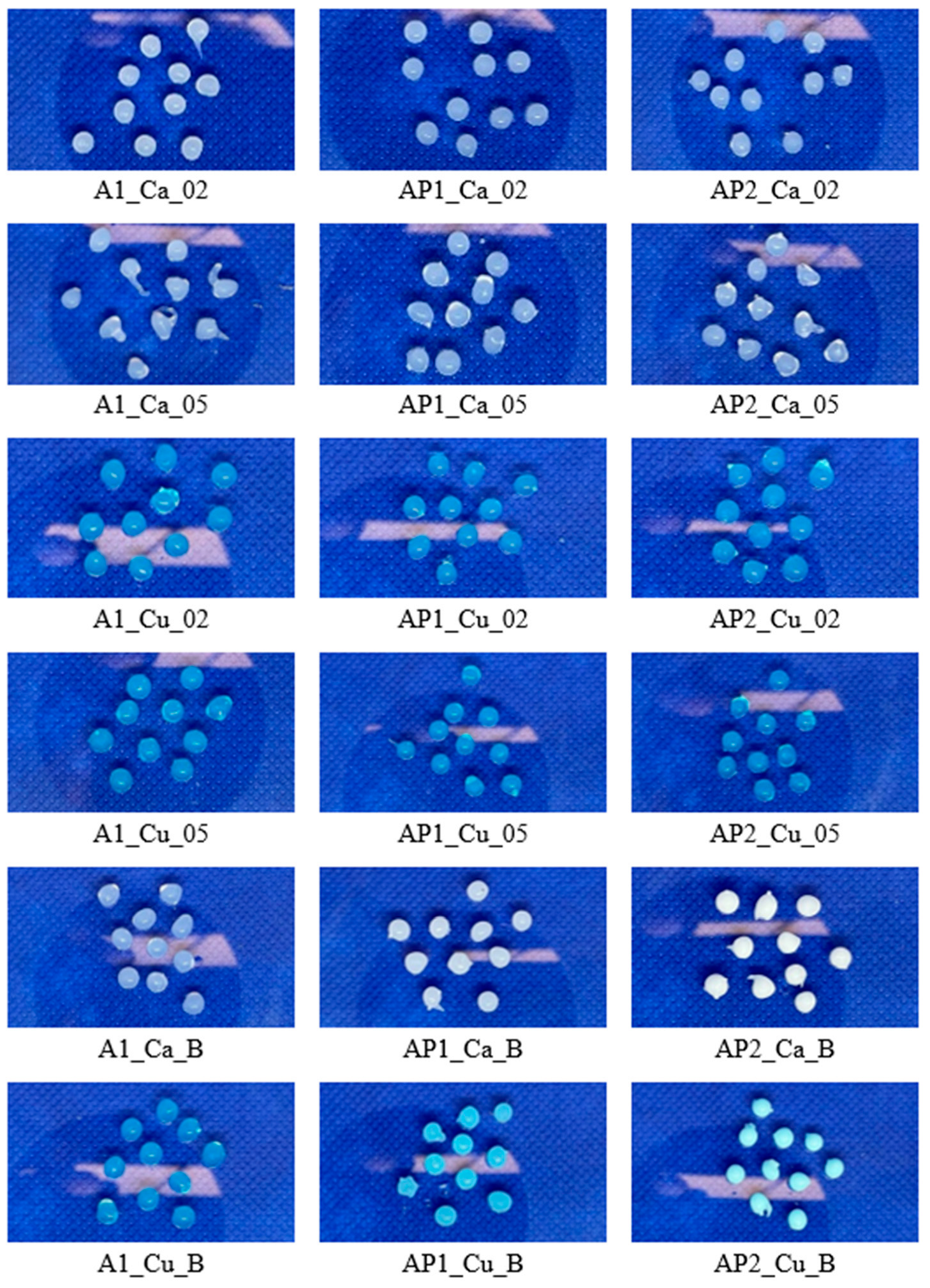 Materials 17 01816 g001 Materials 17 01816 g001