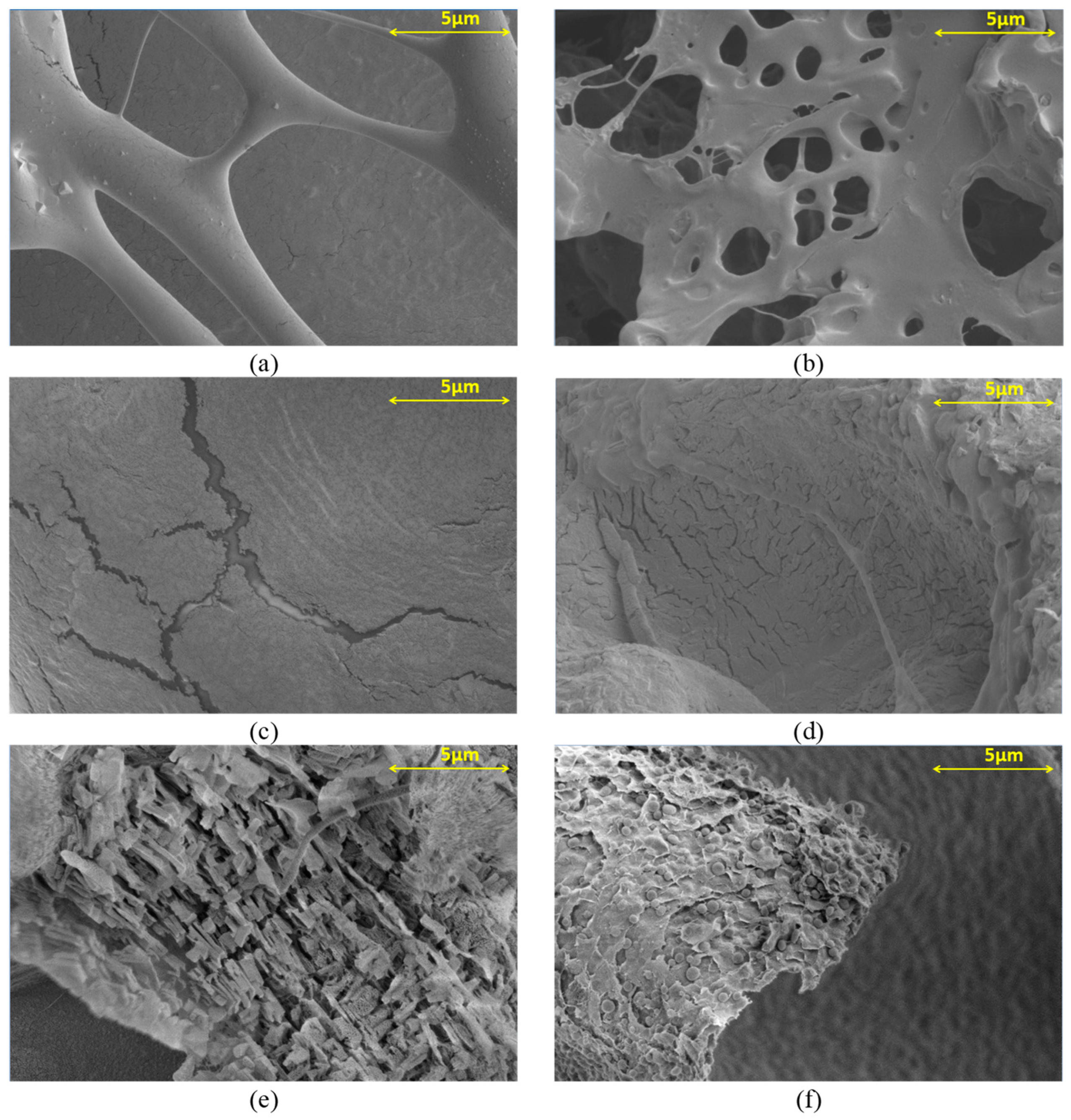 Materials 17 01816 g004 Materials 17 01816 g004