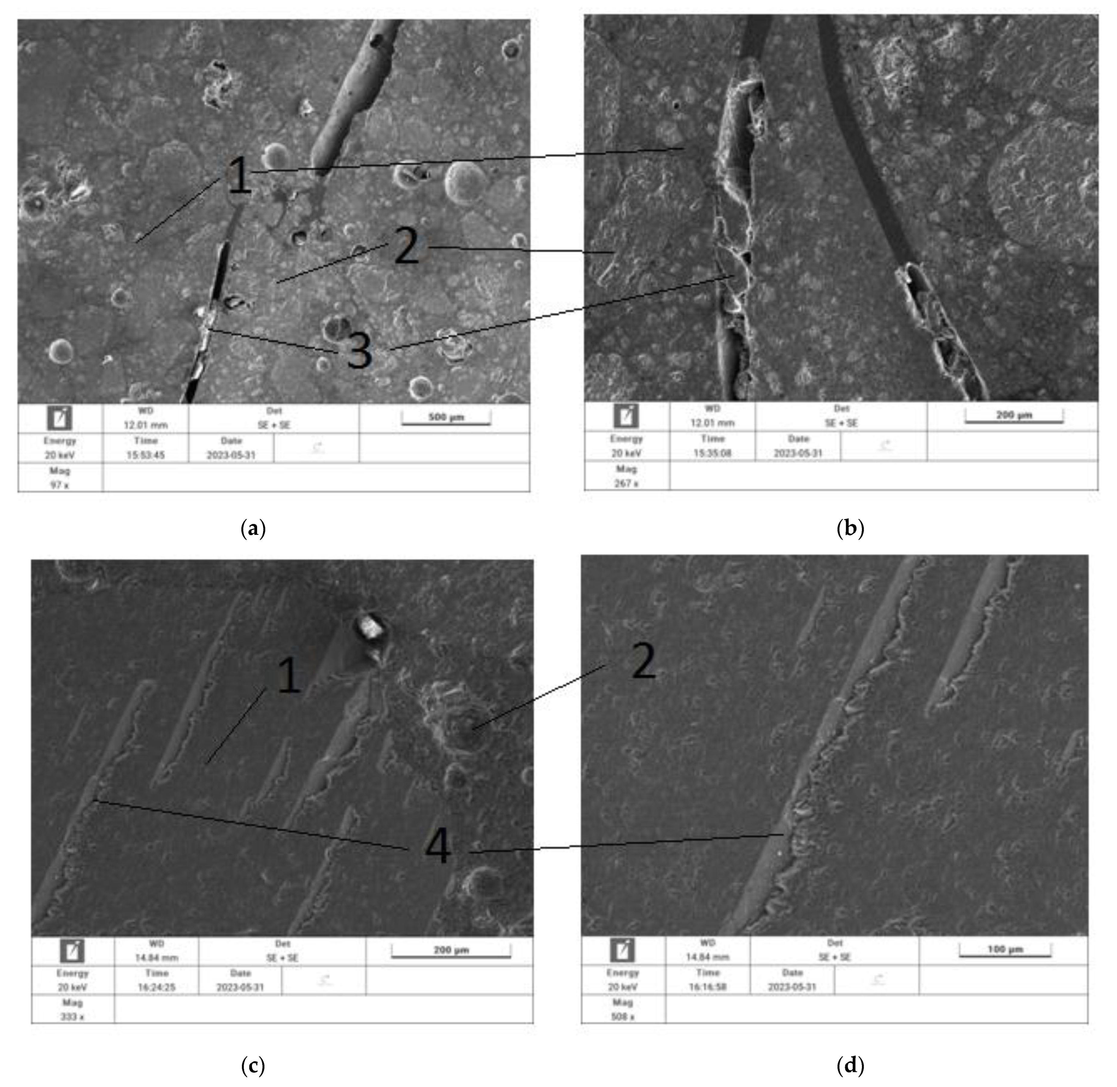 Materials 17 01828 g007