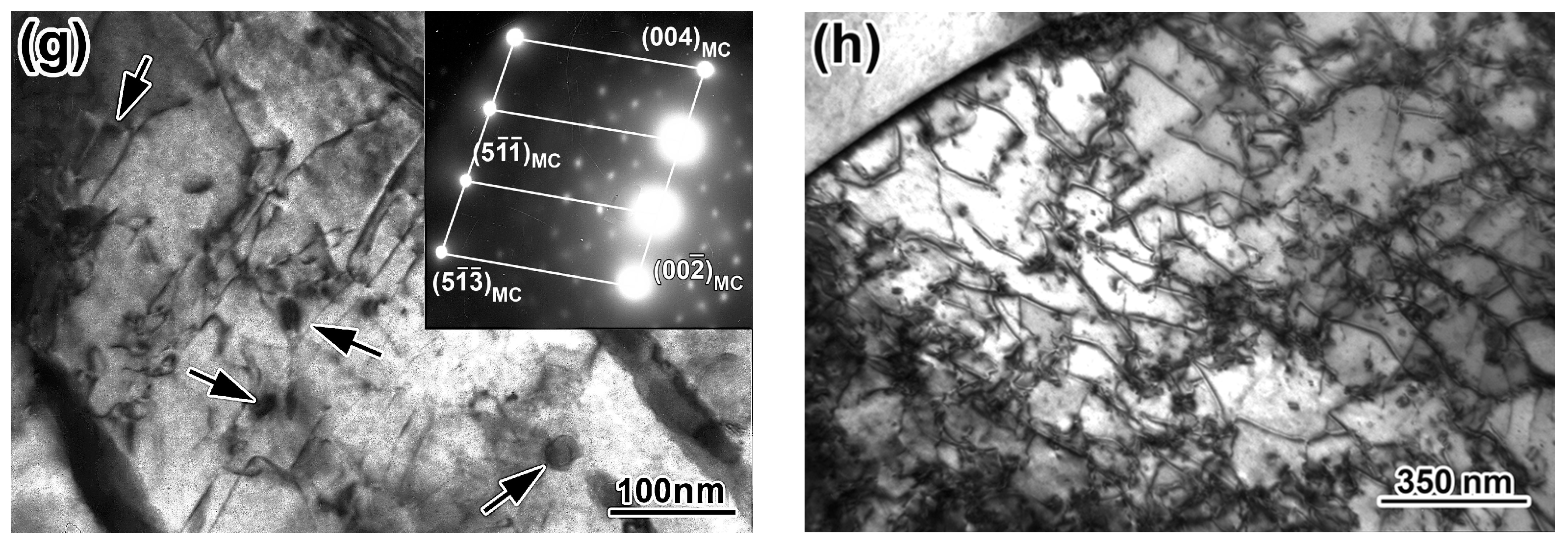 Materials 17 01958 g005b