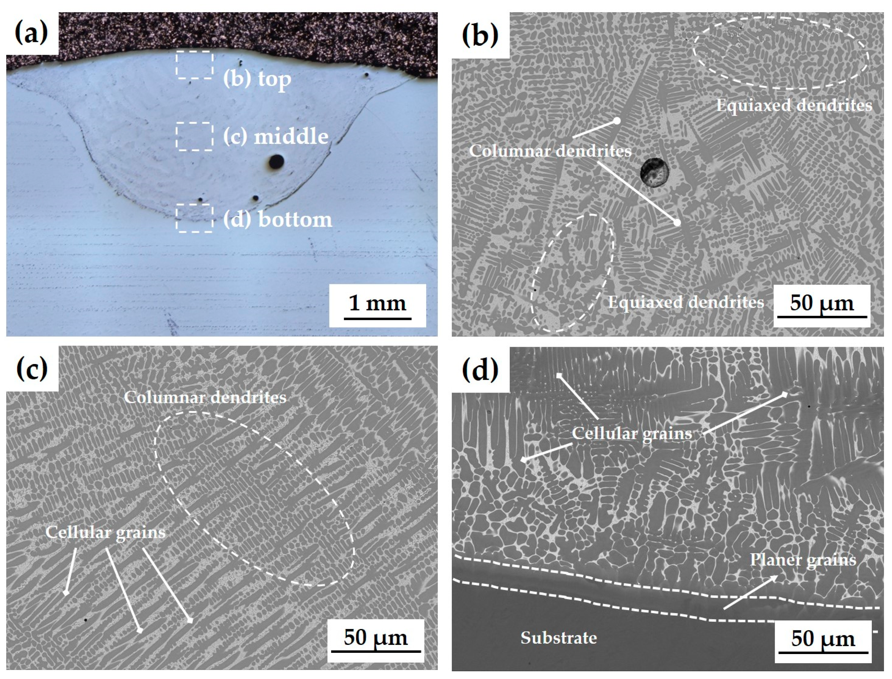 Materials 17 02116 g007