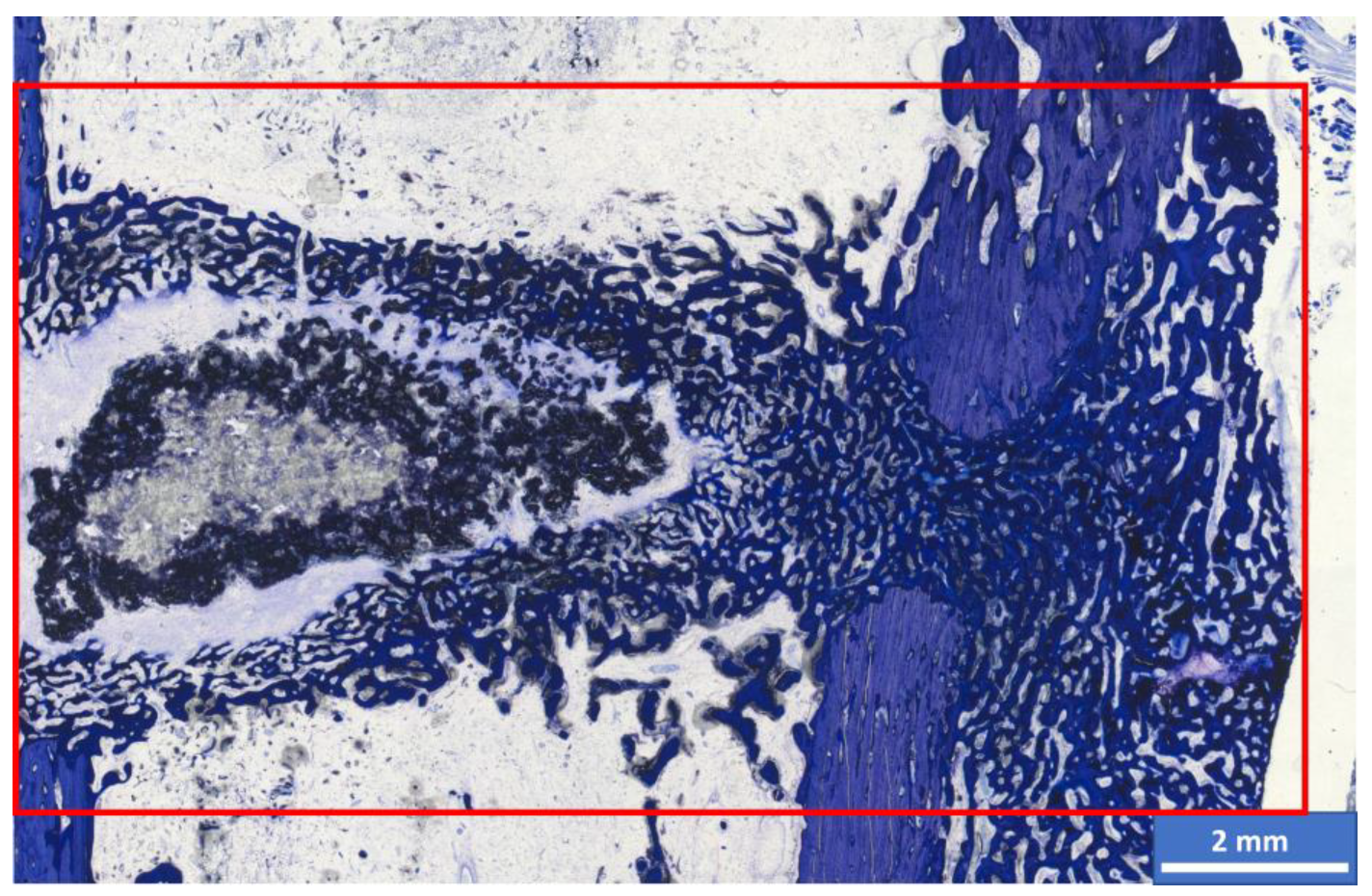 Materials 17 02136 g004