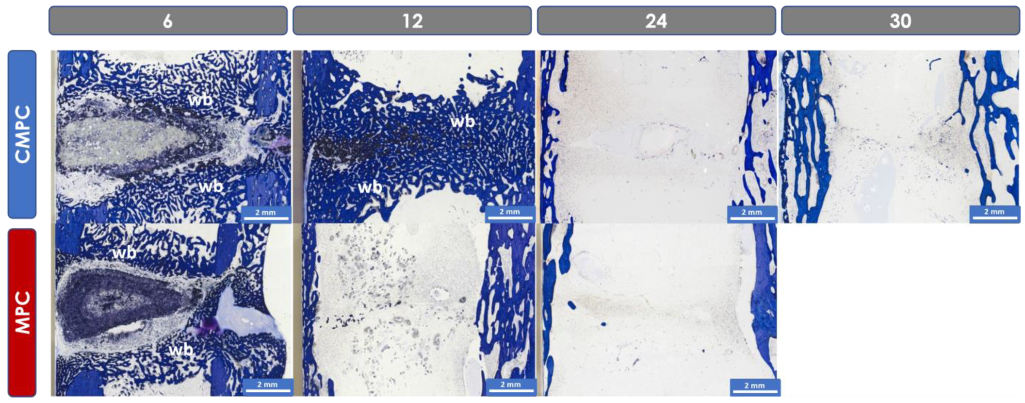 Materials 17 02136 g008