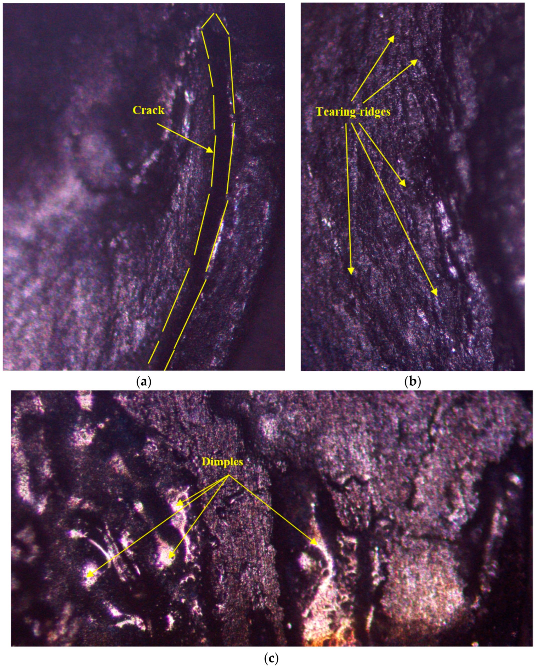 Materials 17 02167 g021