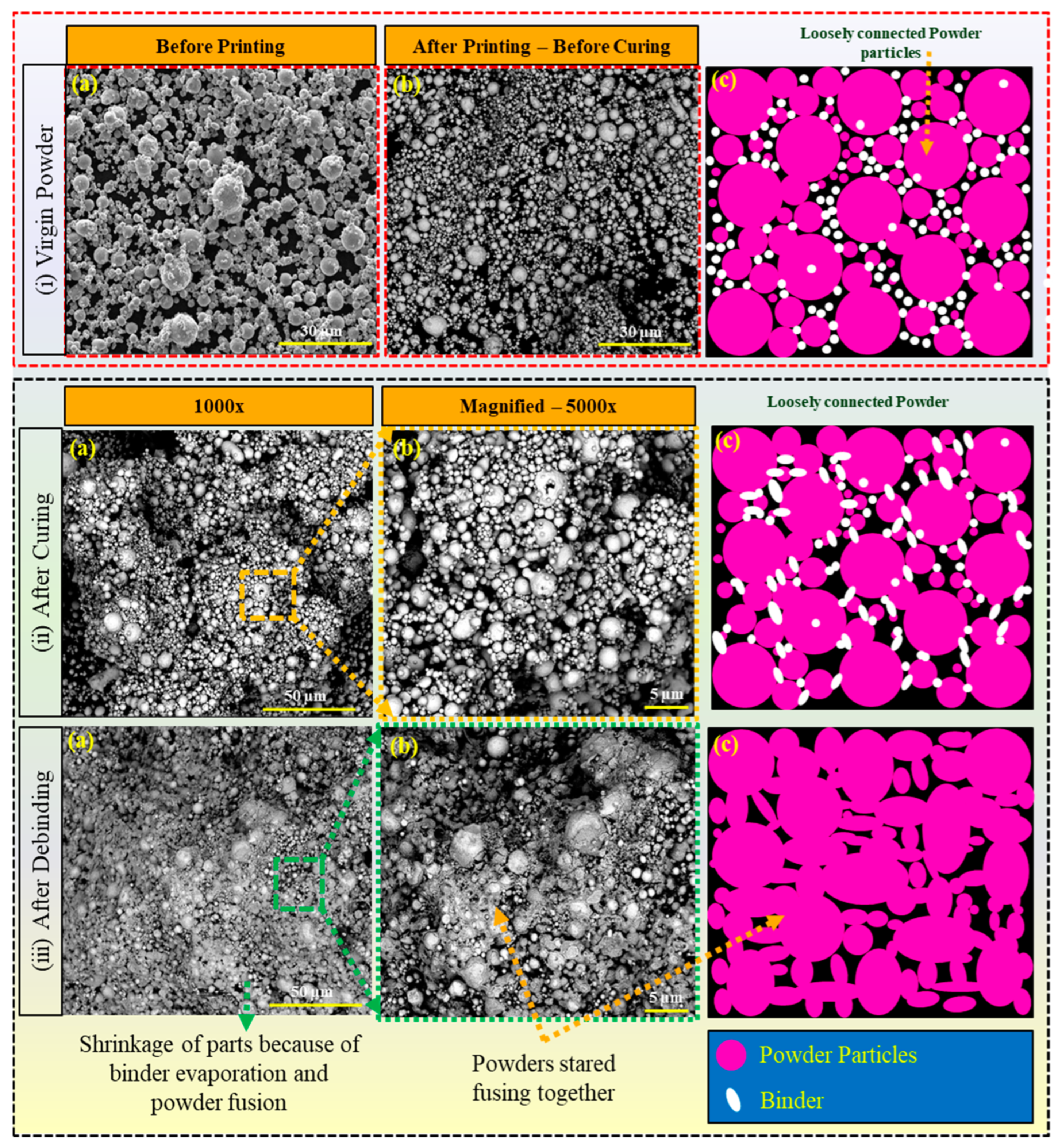 Materials 17 02174 g004