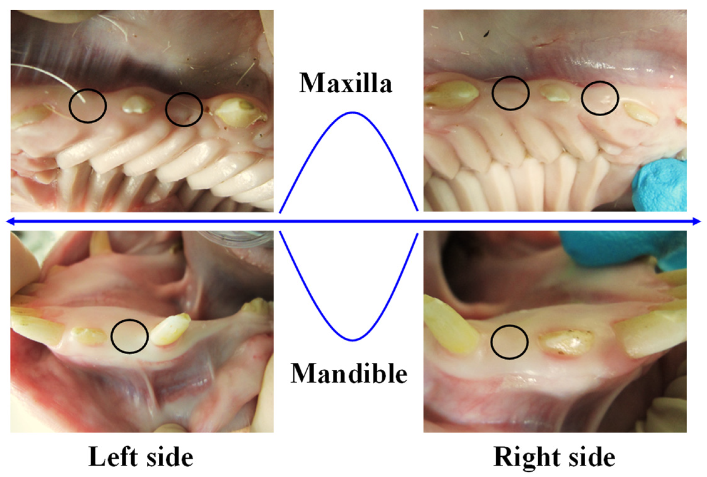 Materials 17 02276 g001
