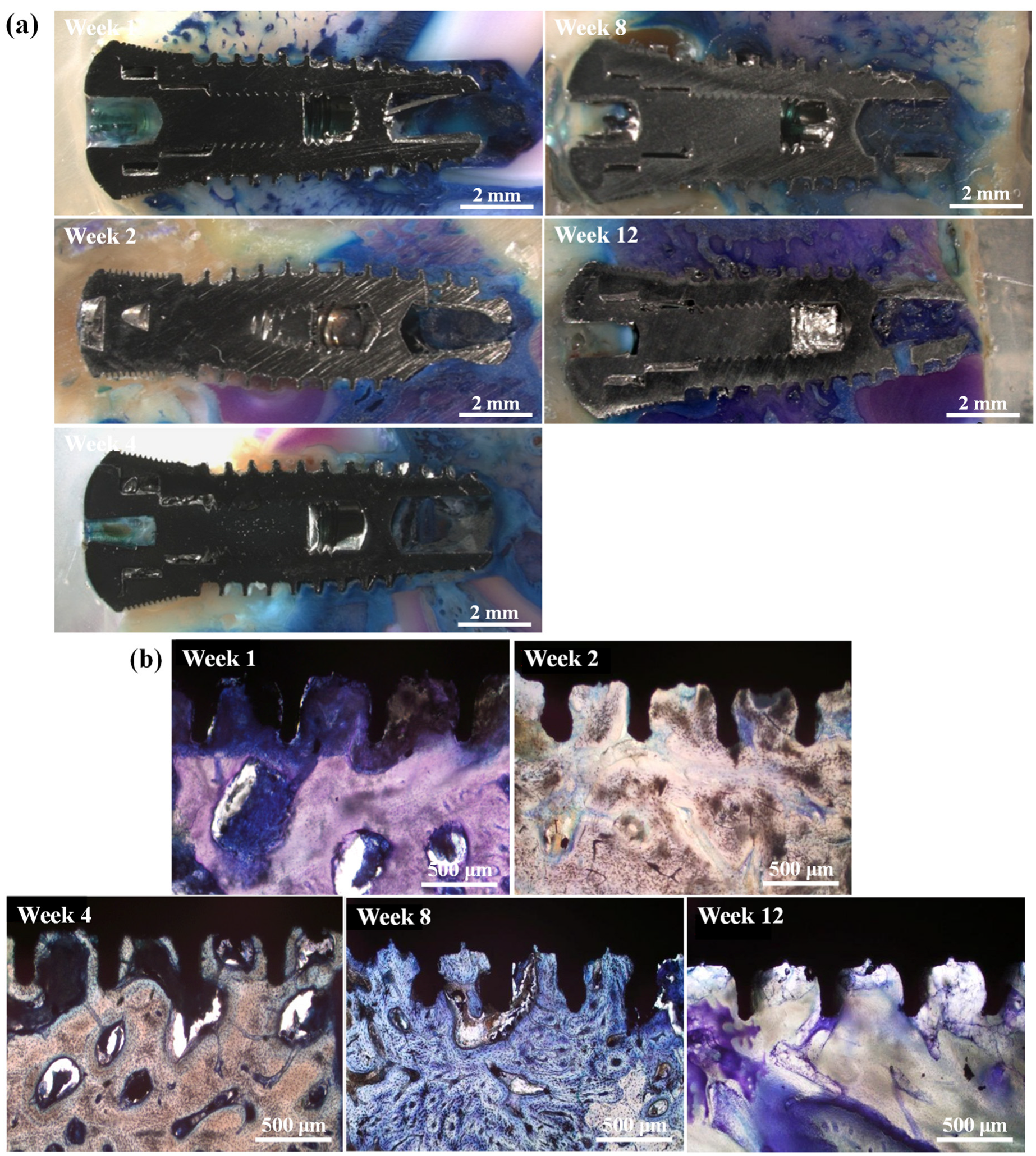 Materials 17 02276 g006