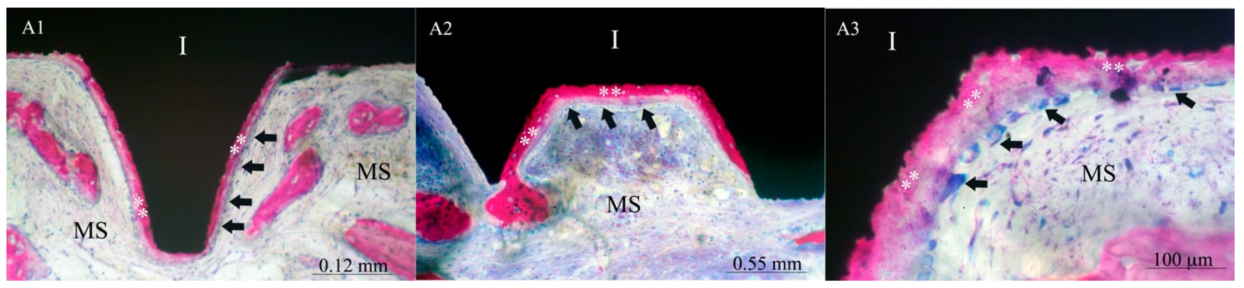 Materials 17 02331 g003