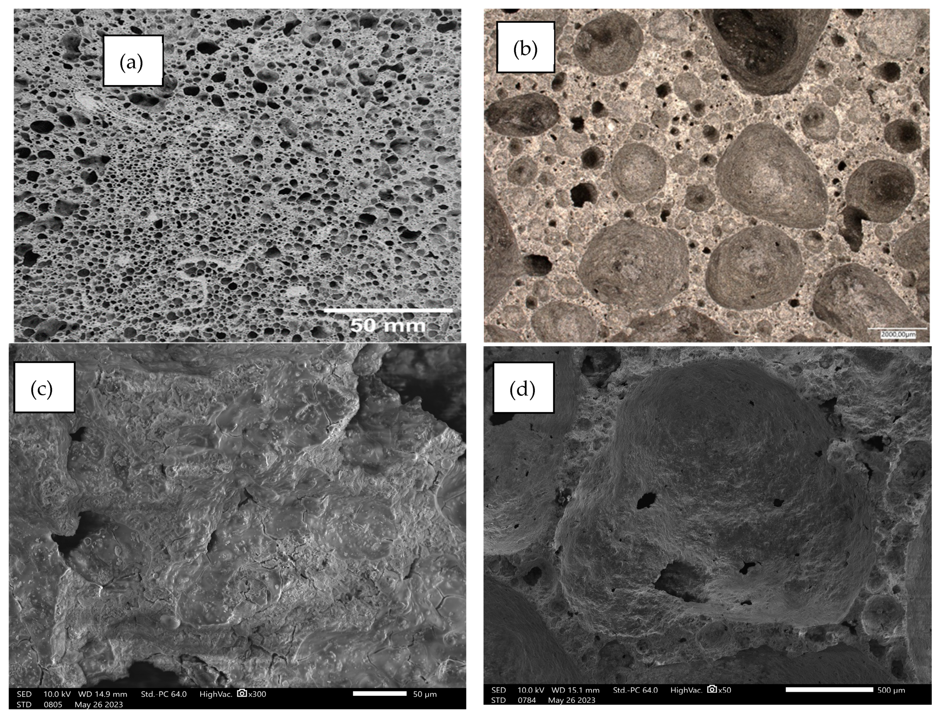 Materials 17 02336 g017 Materials 17 02336 g017