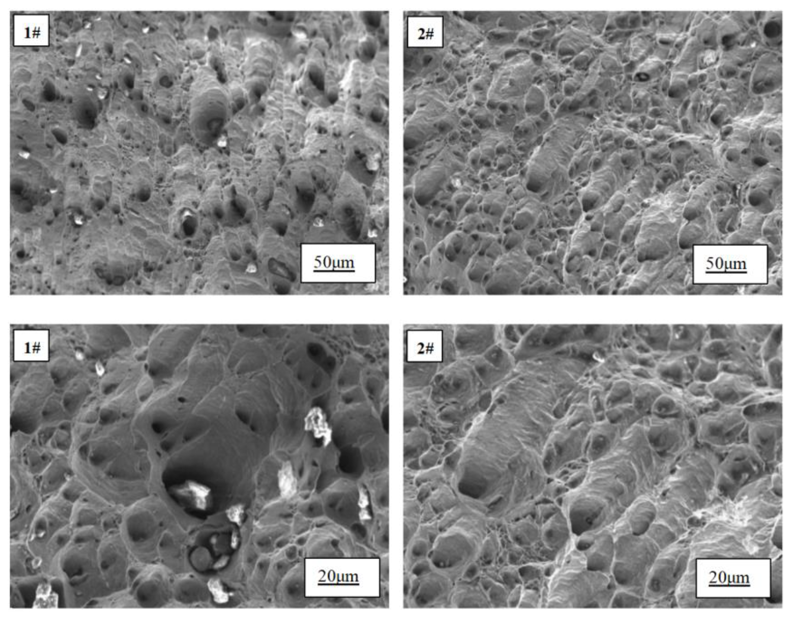 Materials 17 02387 g007