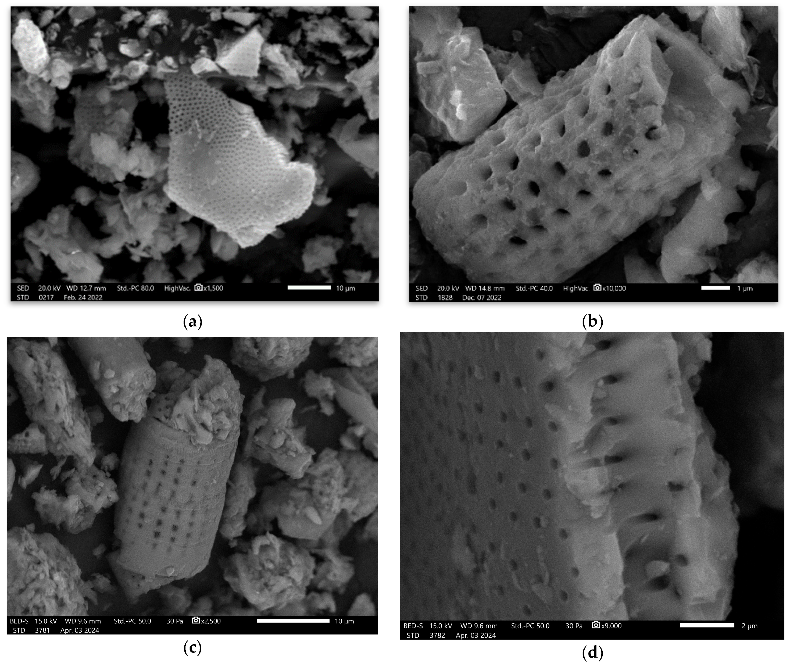 Materials 17 02399 g004