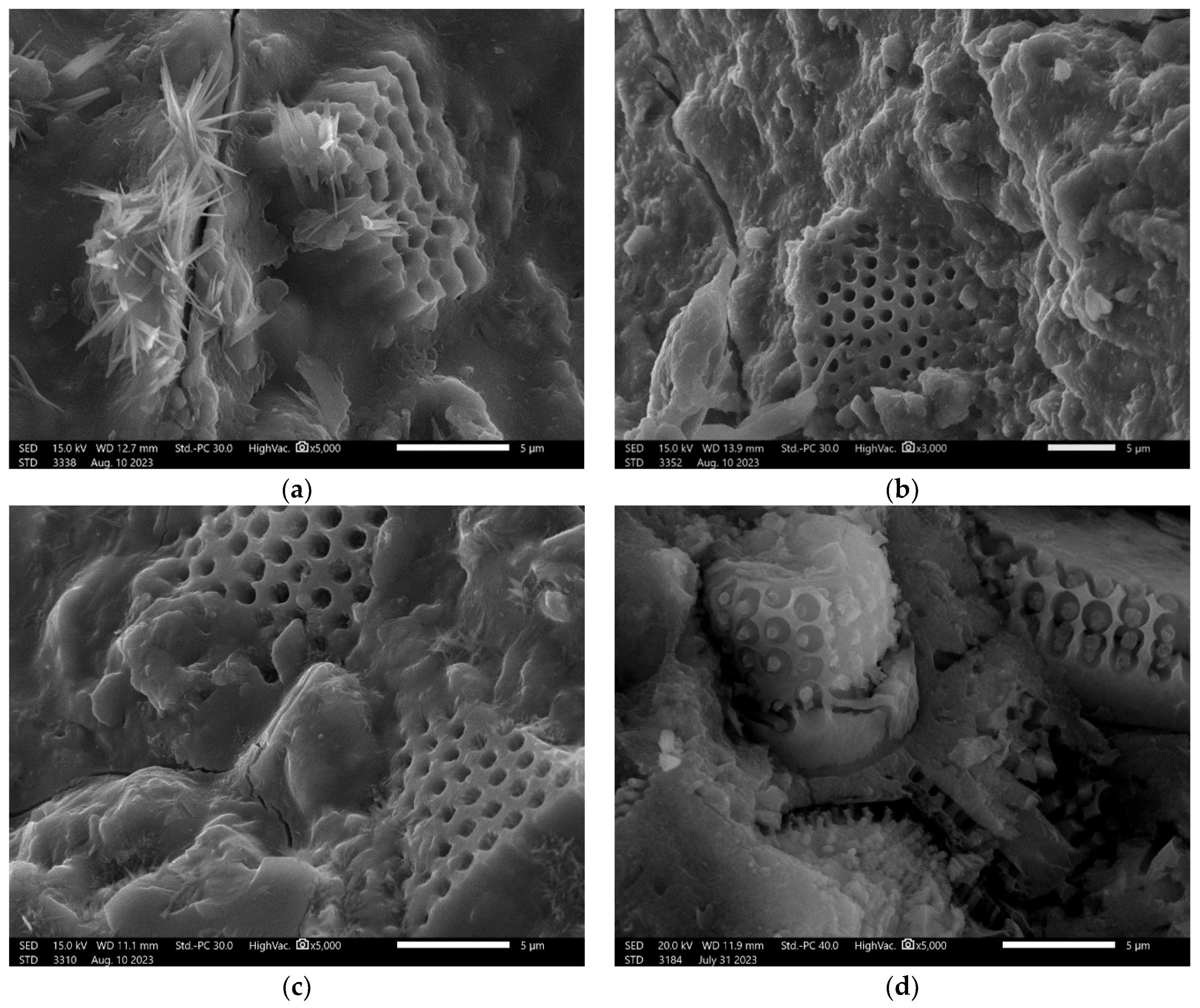 Materials 17 02399 g009