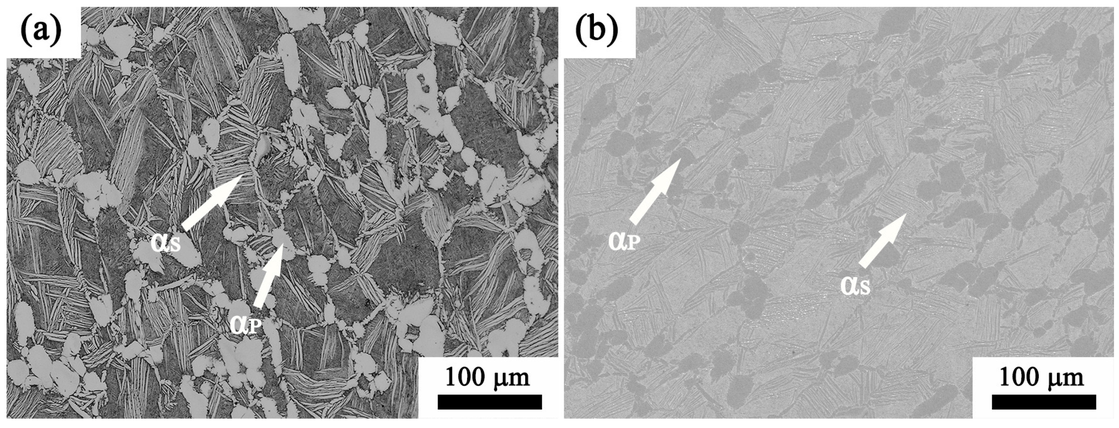 Materials 17 02409 g001