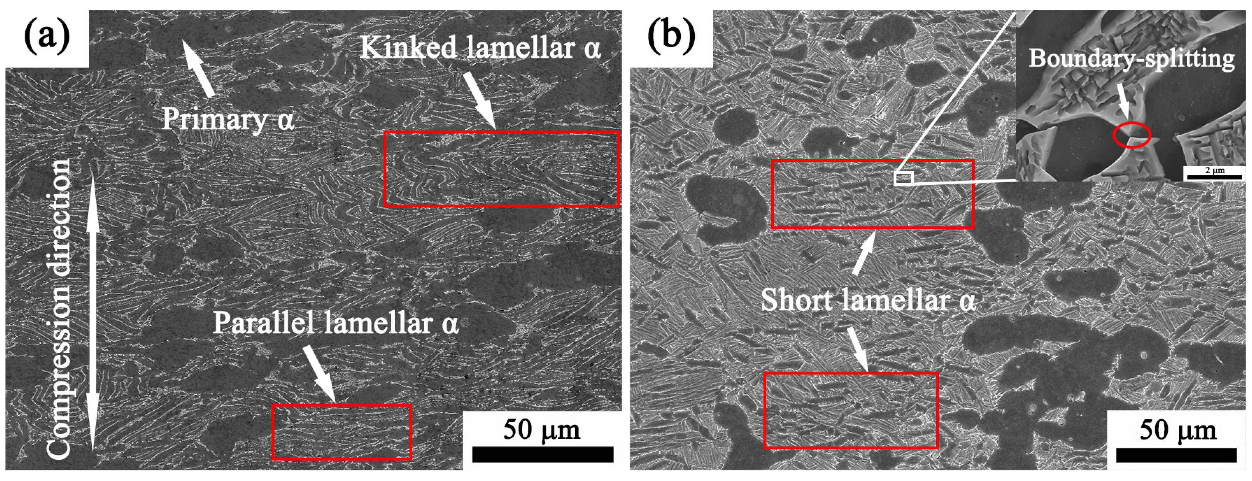 Materials 17 02409 g018