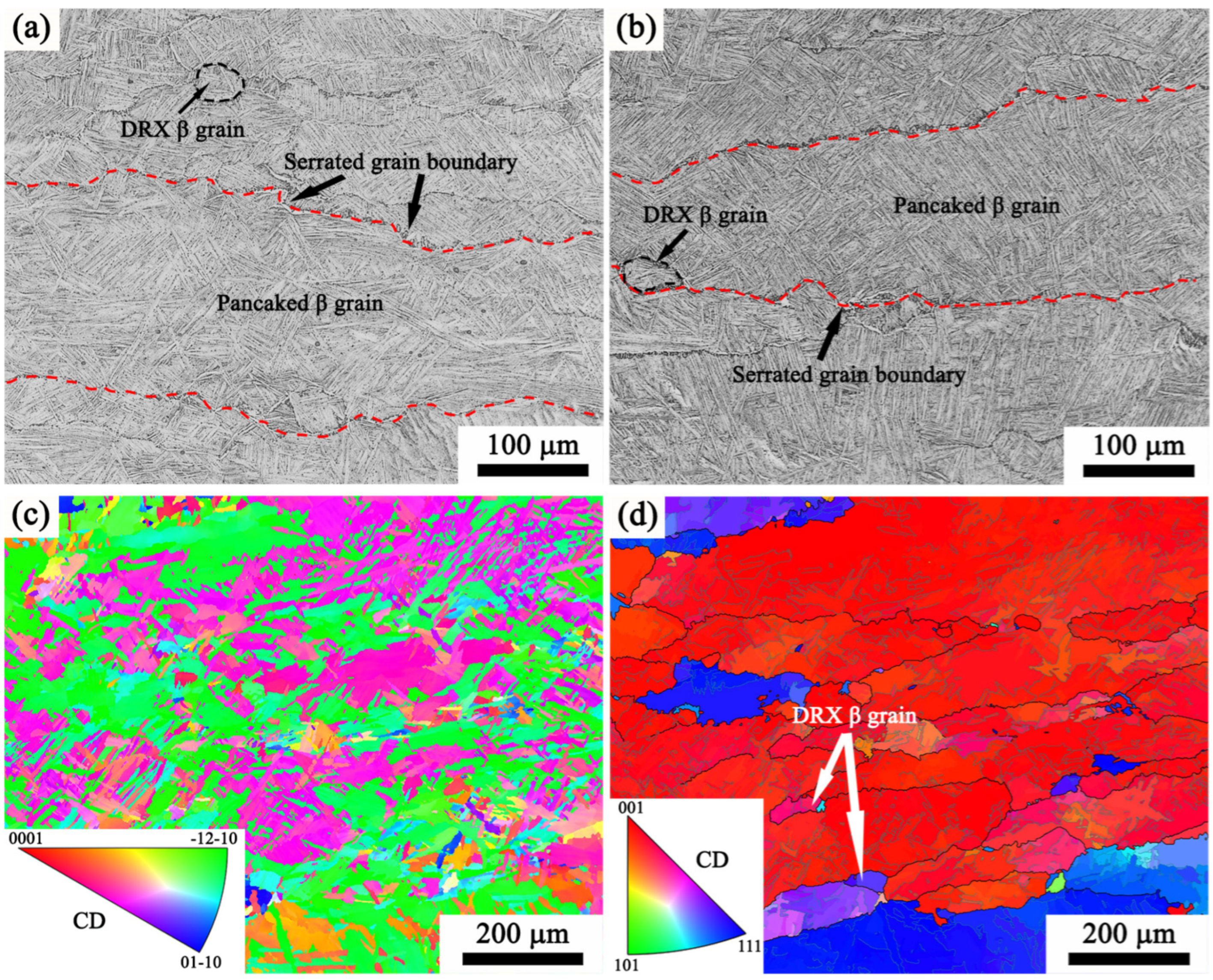 Materials 17 02409 g019