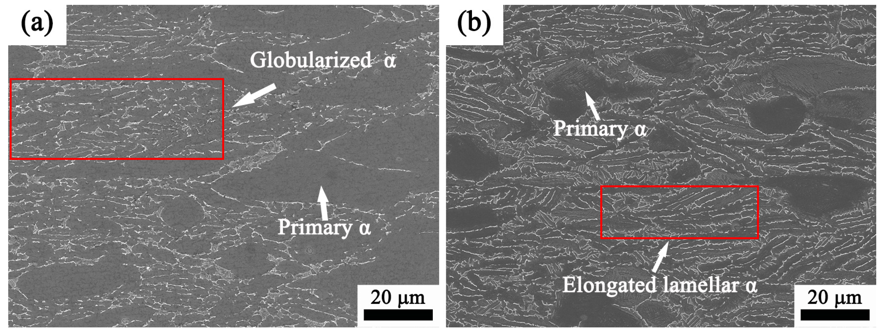 Materials 17 02409 g020