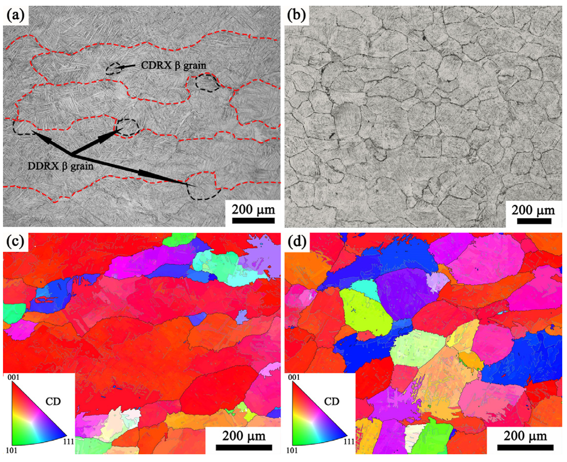 Materials 17 02409 g021