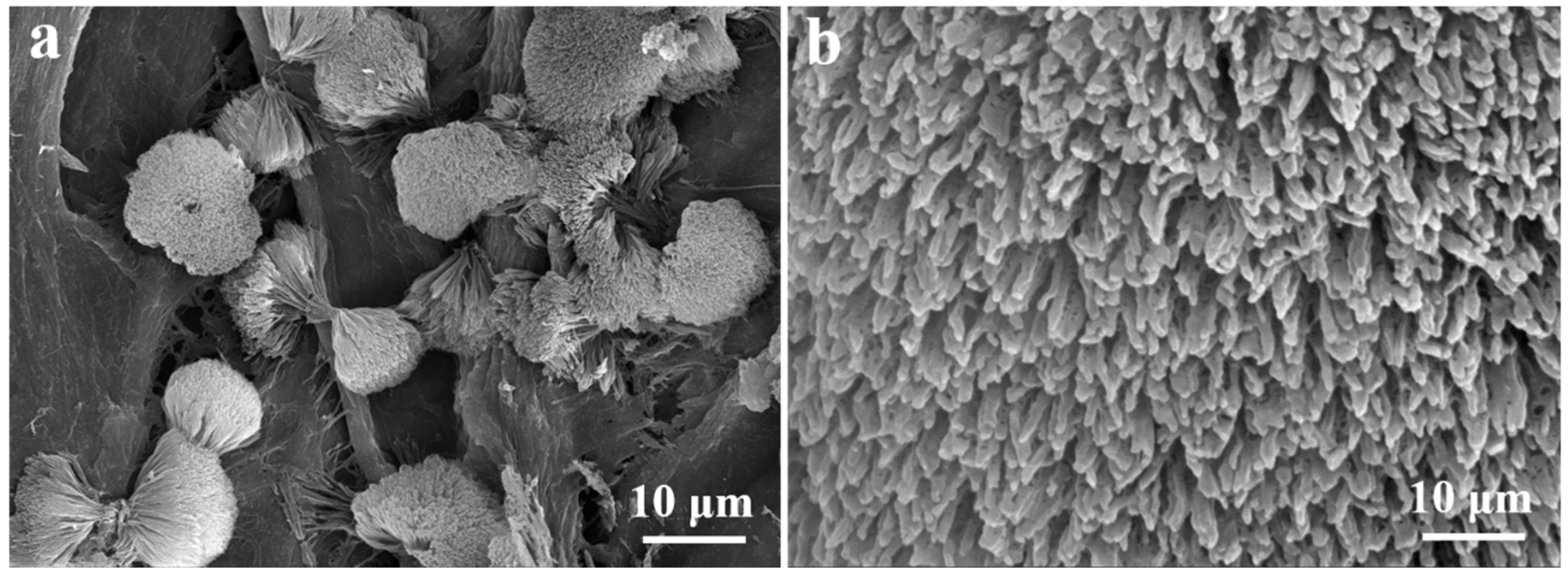 Materials 17 02488 g001