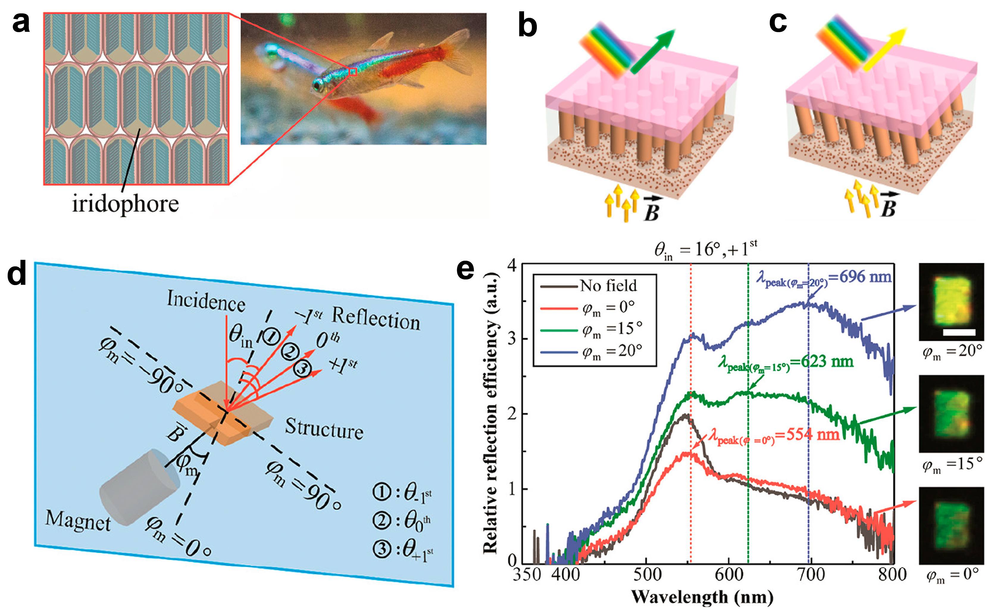 Materials 17 02564 g005