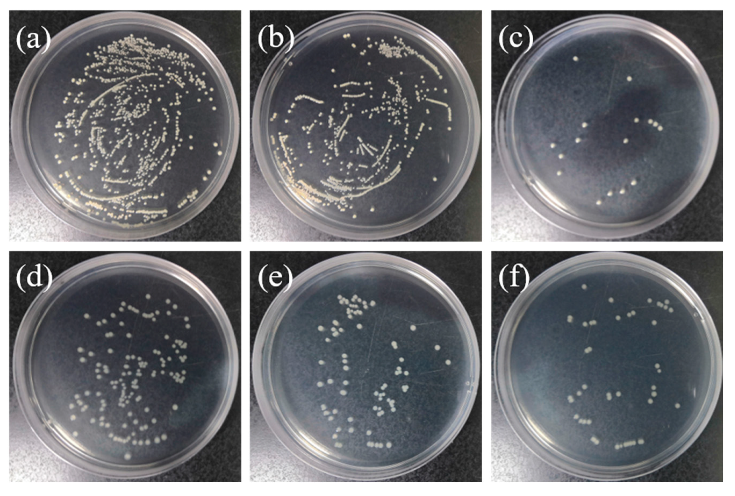 Materials 17 02584 g008