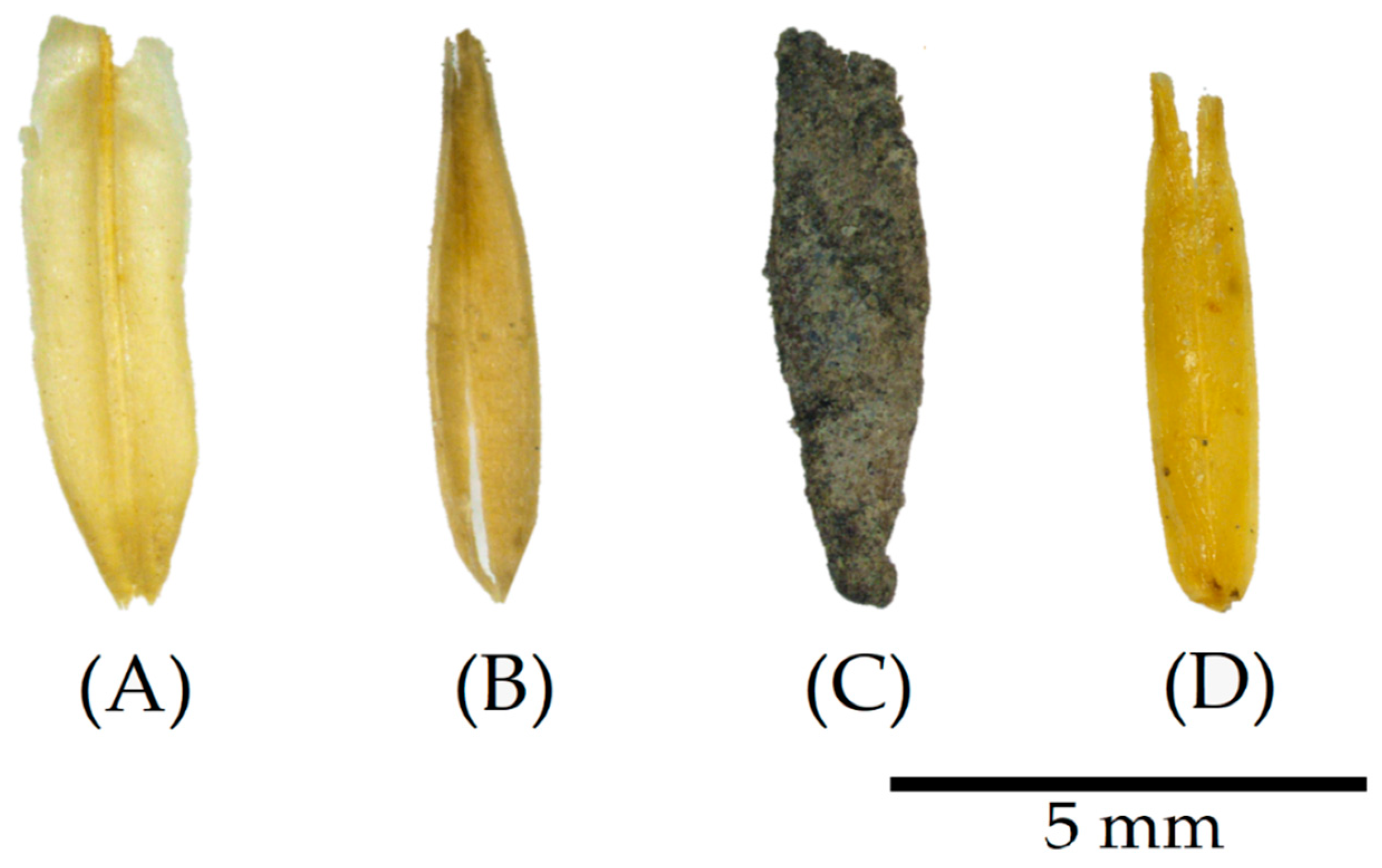 Materials 17 02588 g003