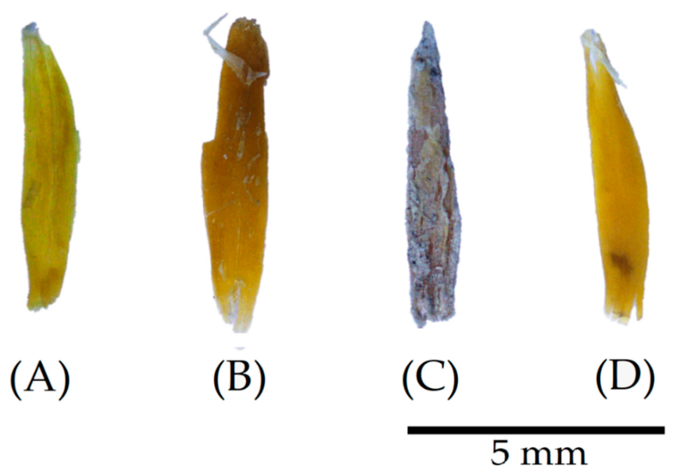 Materials 17 02588 g007