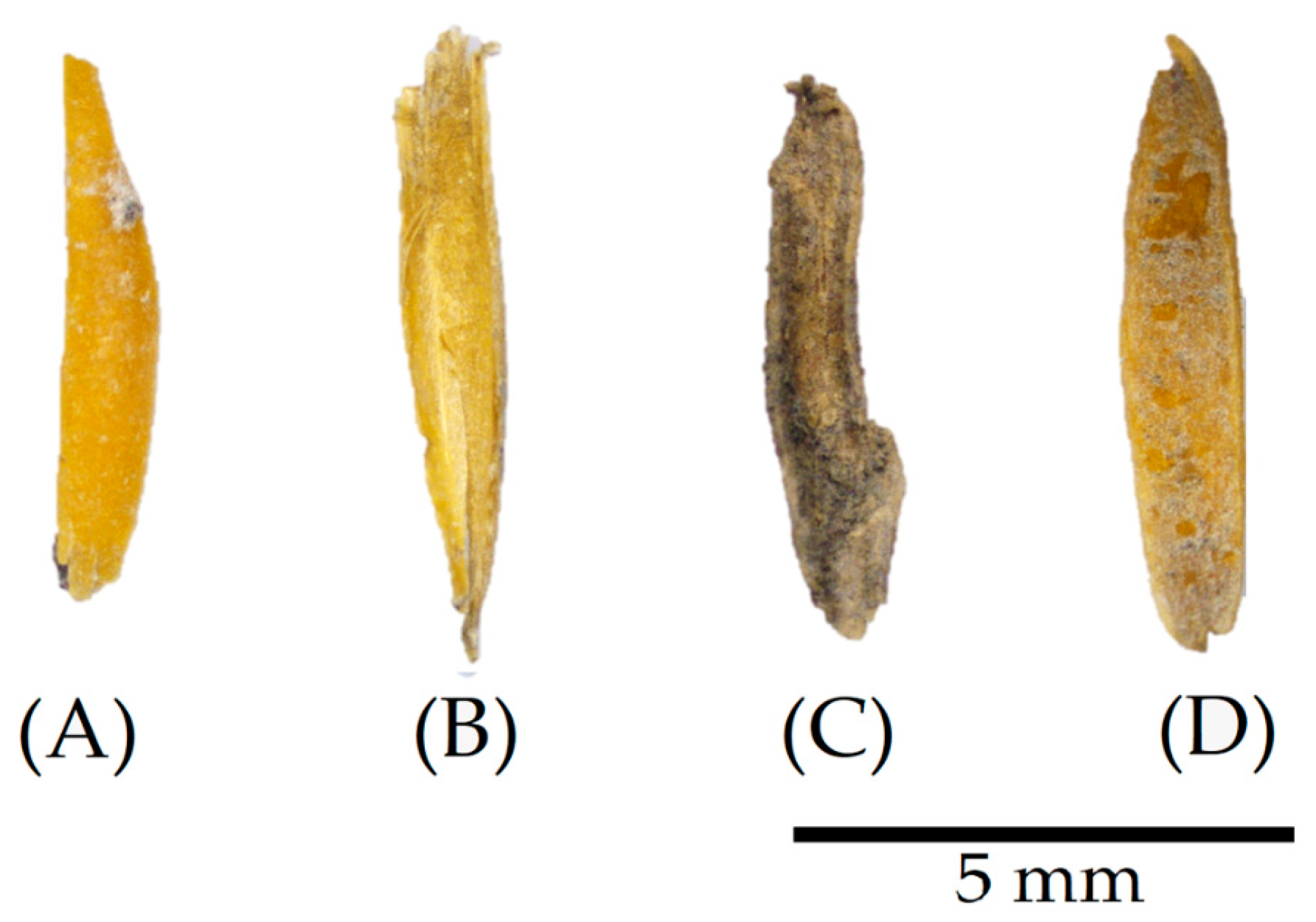 Materials 17 02588 g009