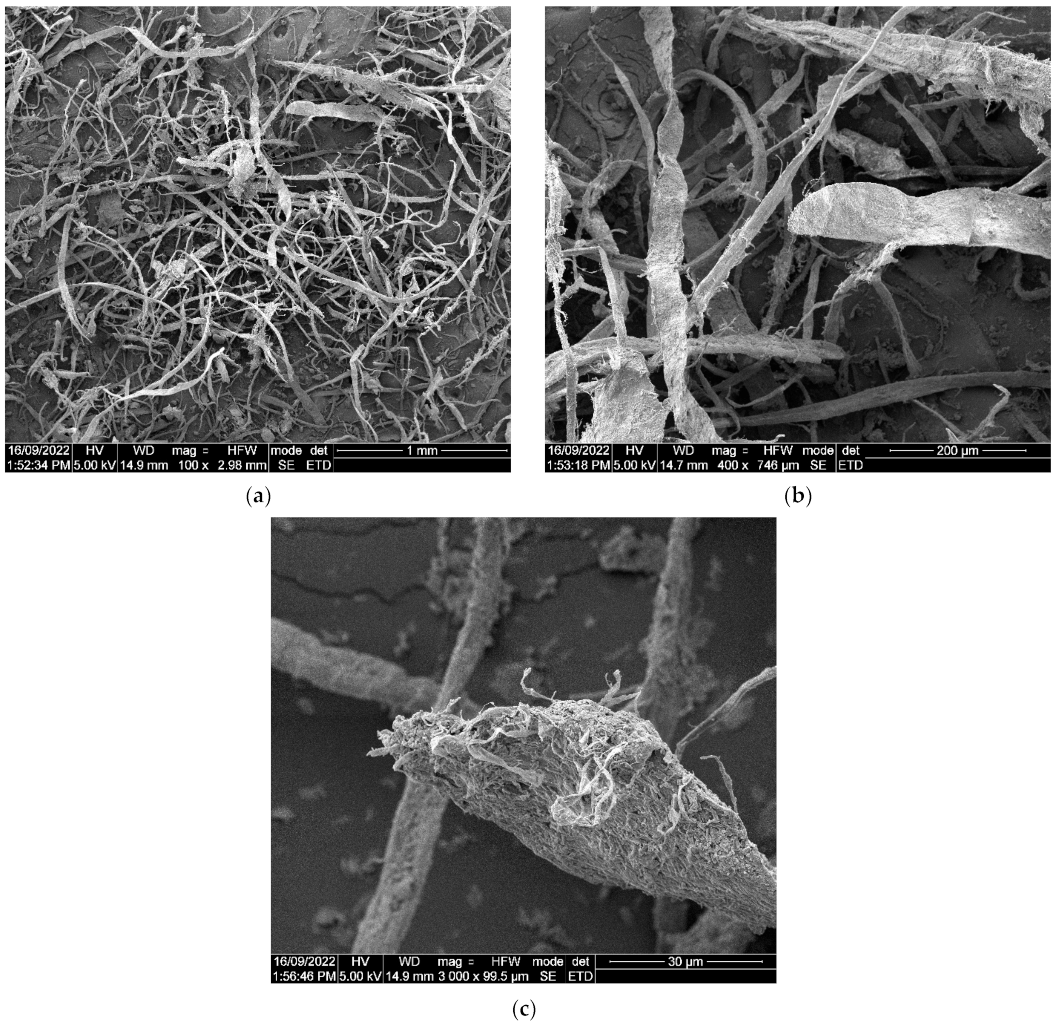 Materials 17 02608 g003