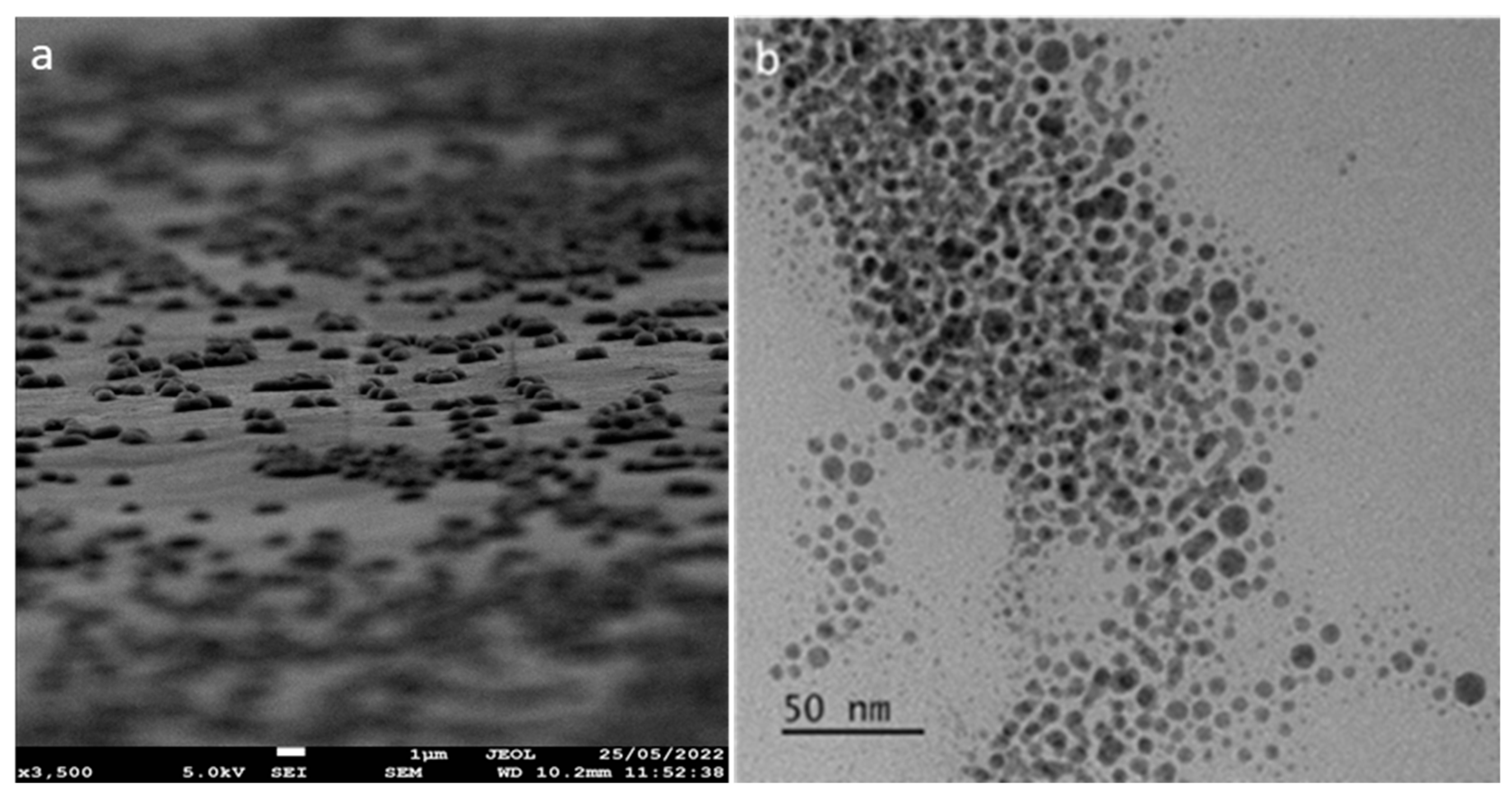 Materials 17 02664 g001