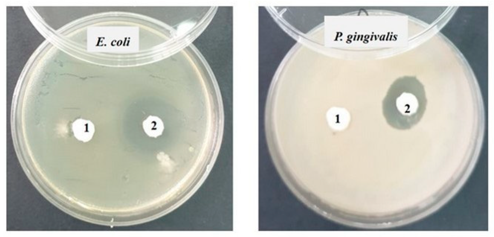 Materials 17 02711 g009