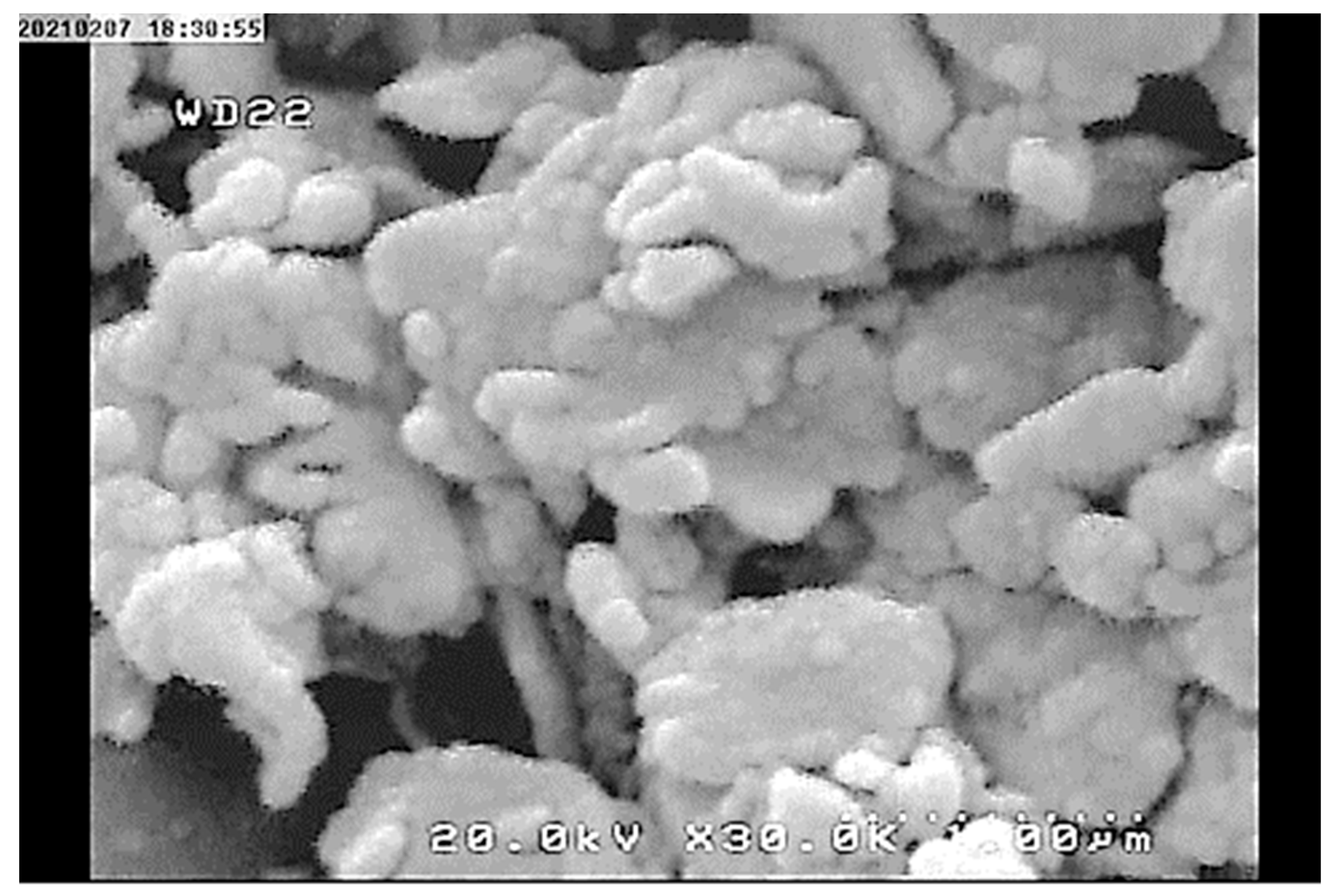 Materials 17 02737 g004