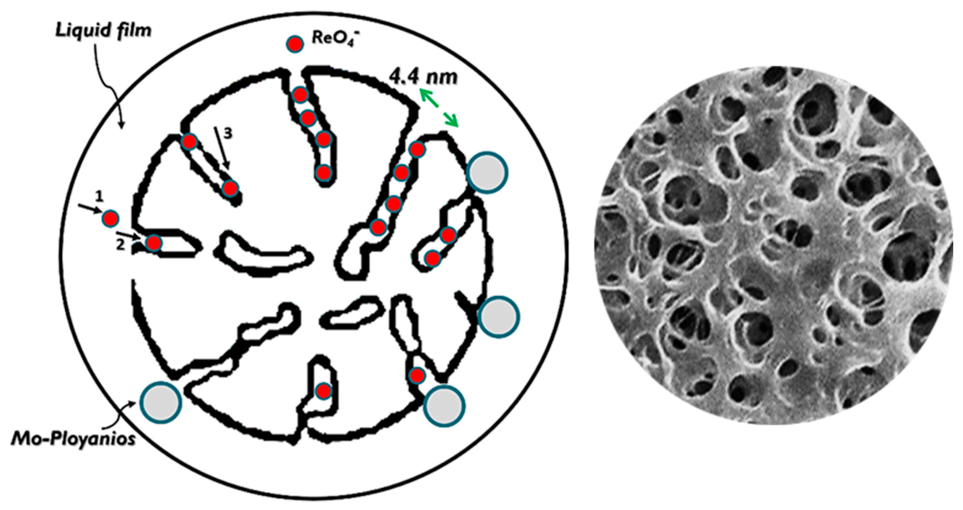 Materials 17 02737 g008