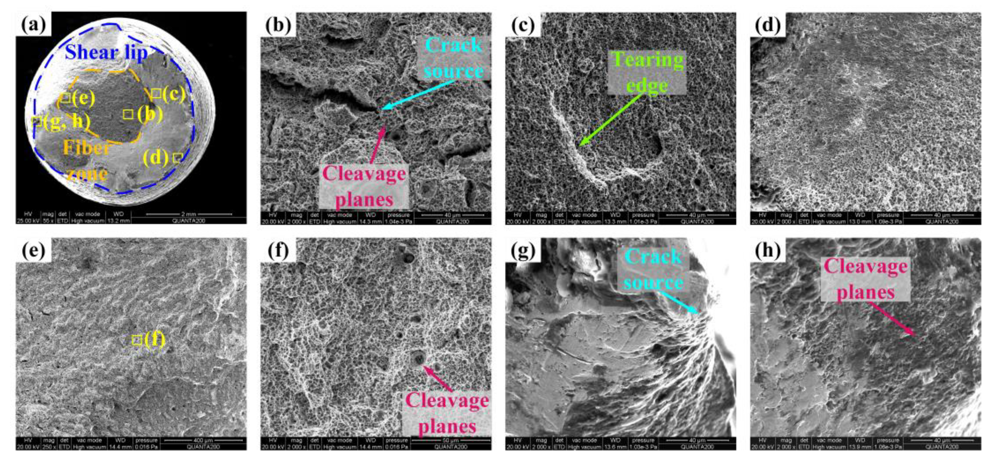 Materials 17 02752 g017