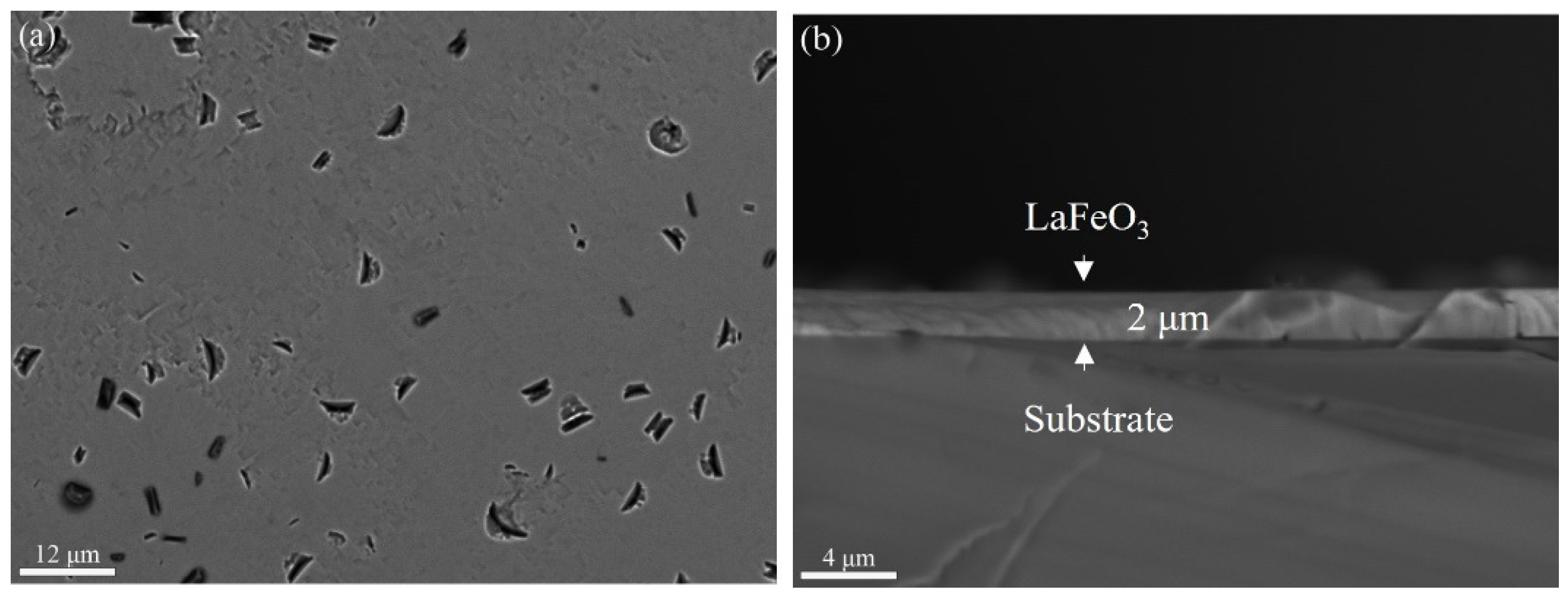 Materials 17 02758 g008