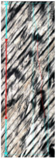 Materials 17 02801 i003