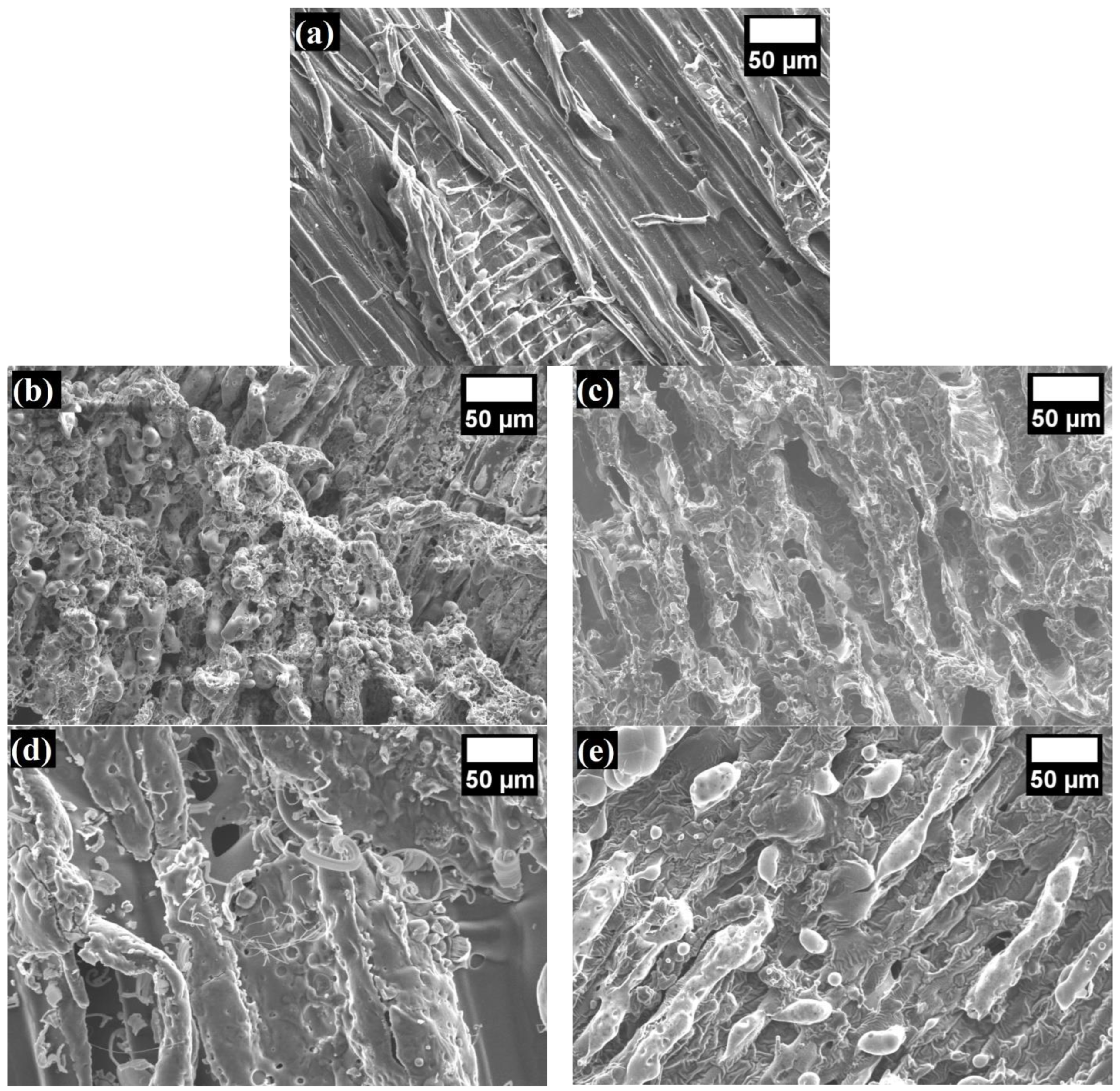 Materials 17 02809 g007