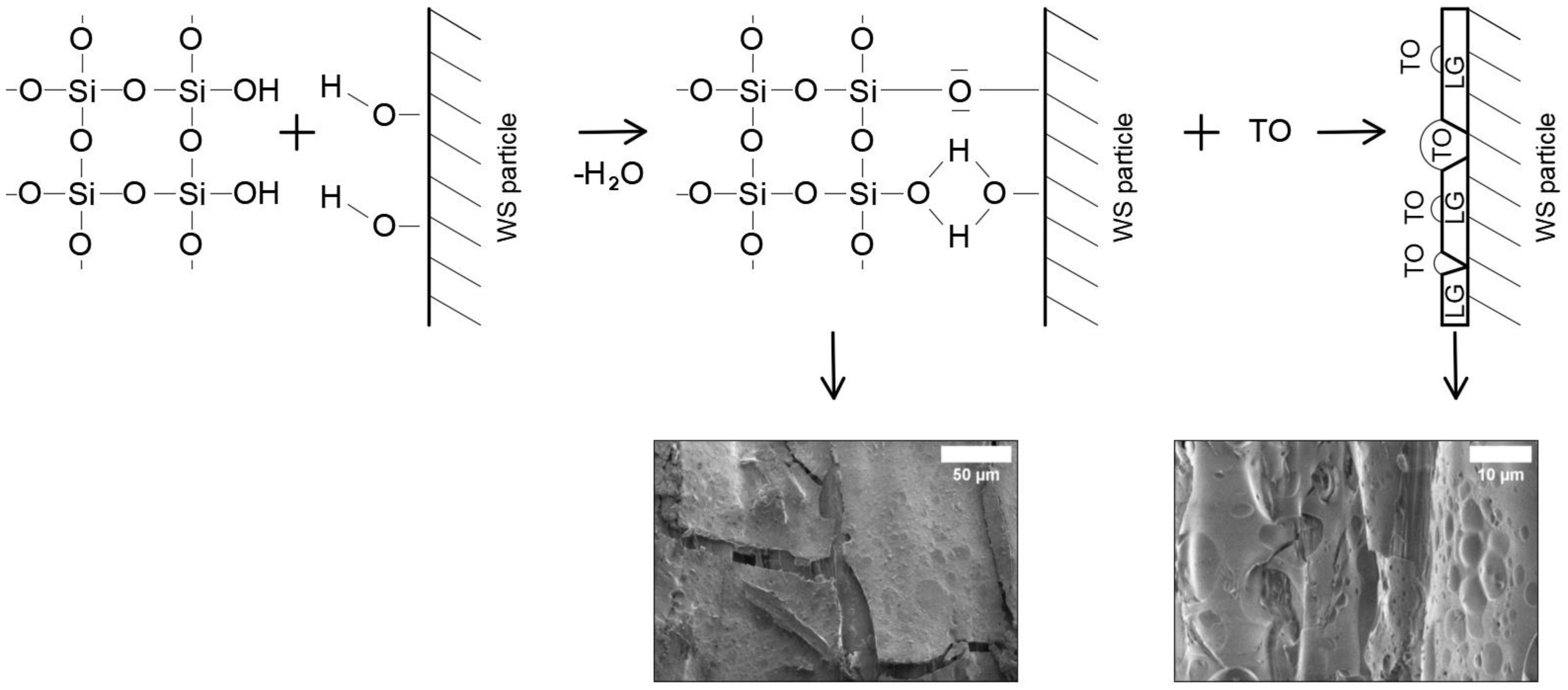 Materials 17 02809 g008