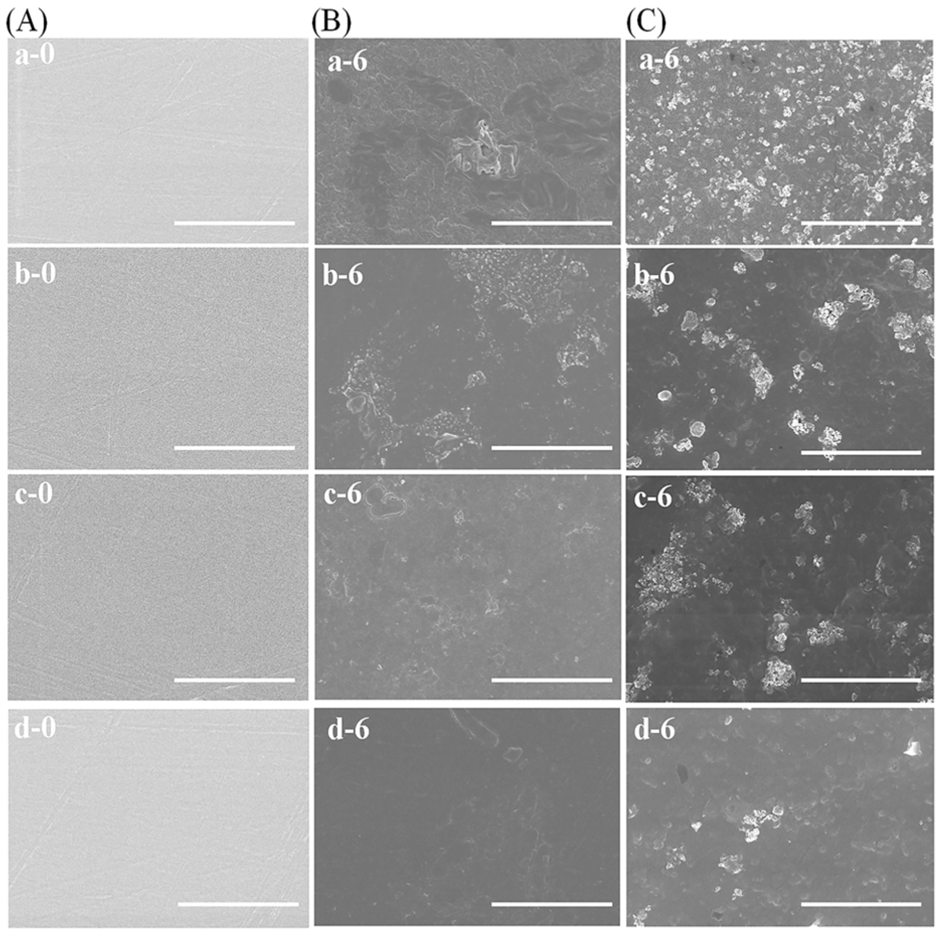 Materials 17 02839 g005