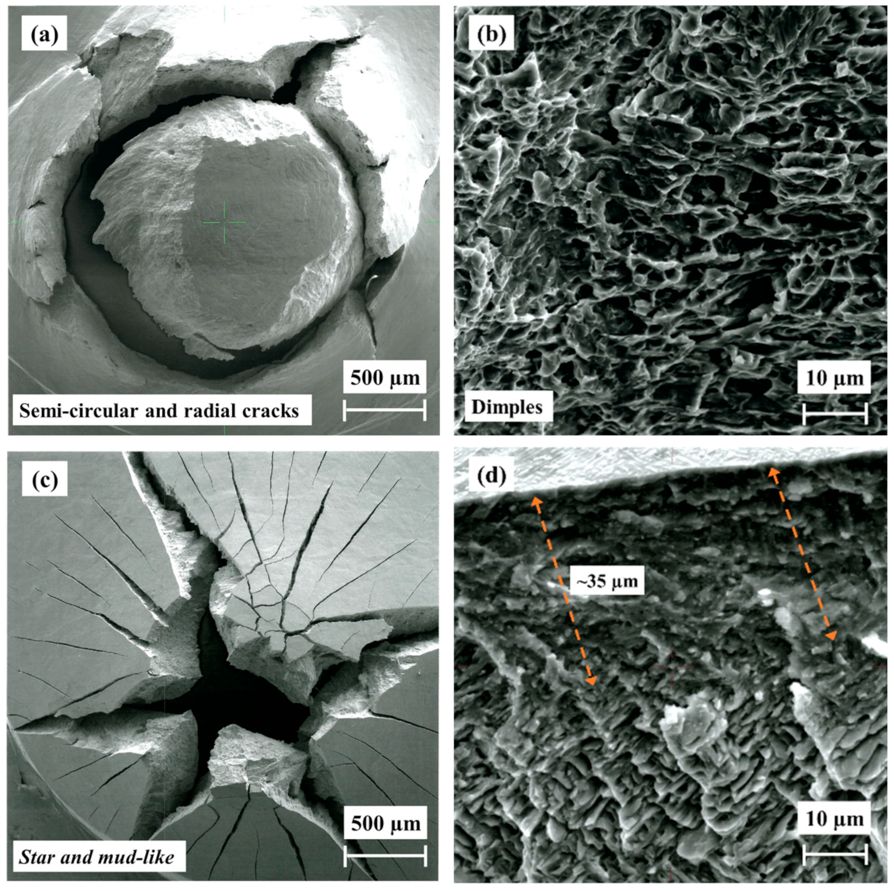 Materials 17 02846 g011