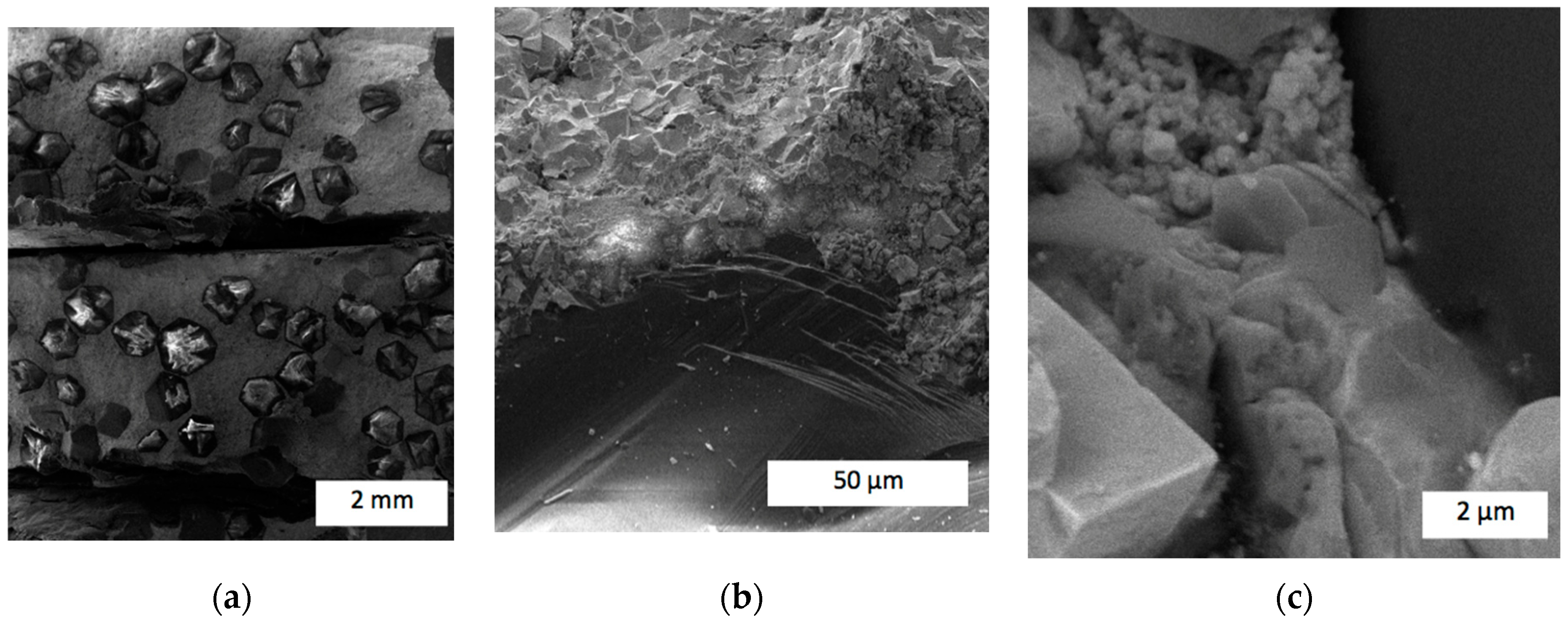 Materials 17 02852 g010