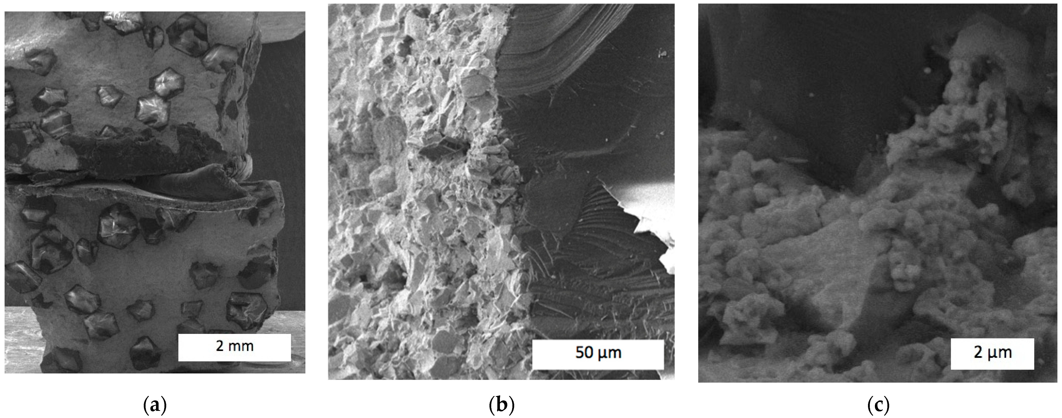 Materials 17 02852 g011