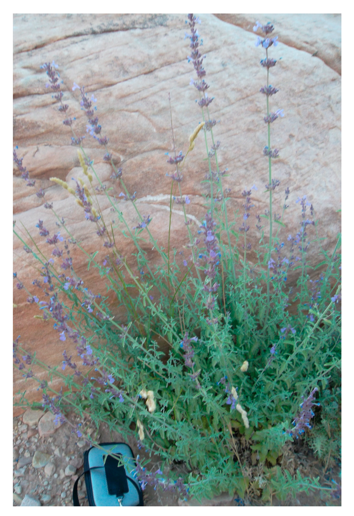 Materials 17 02853 g001