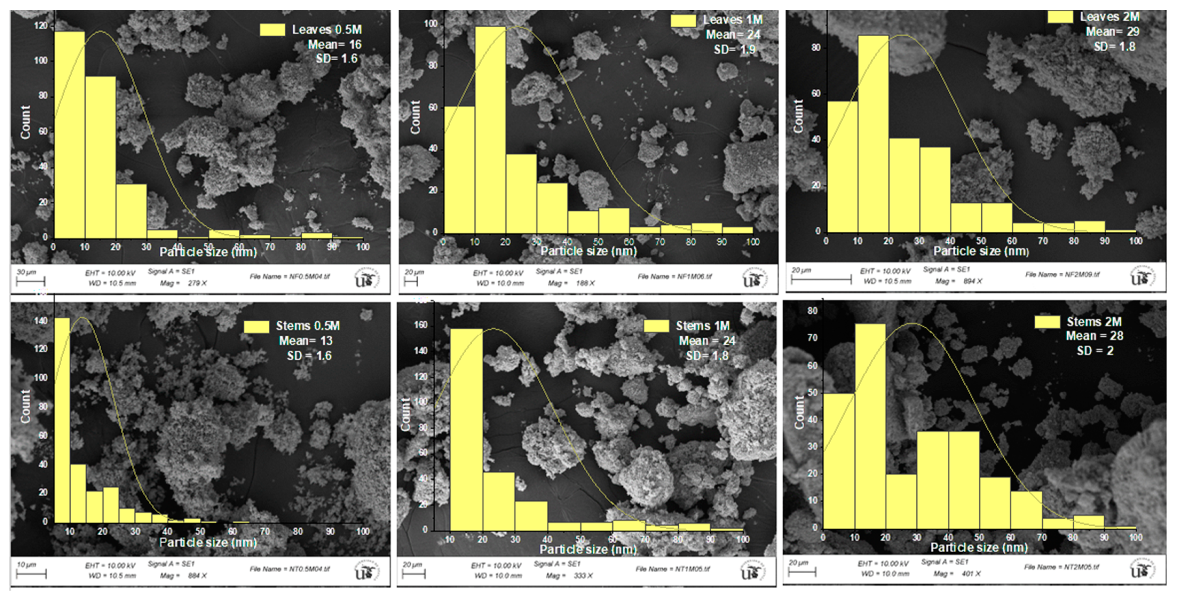 Materials 17 02853 g005